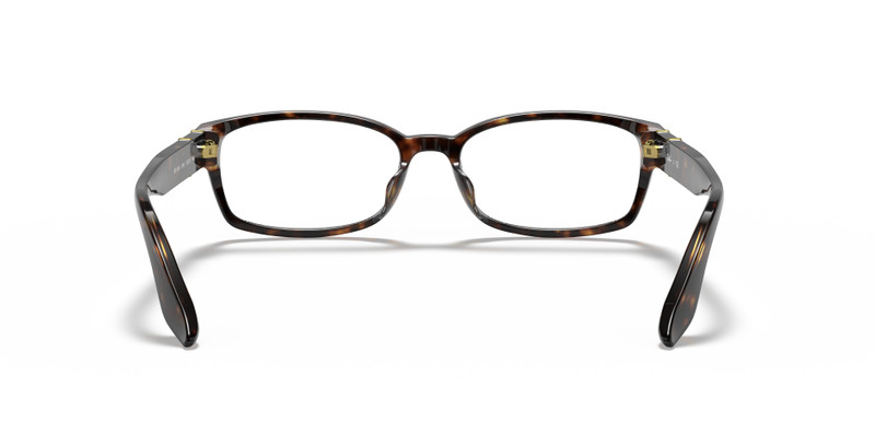 RB5198 OPTICS 6