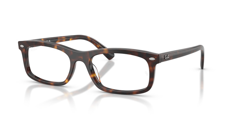 RB5450 OPTICS 1