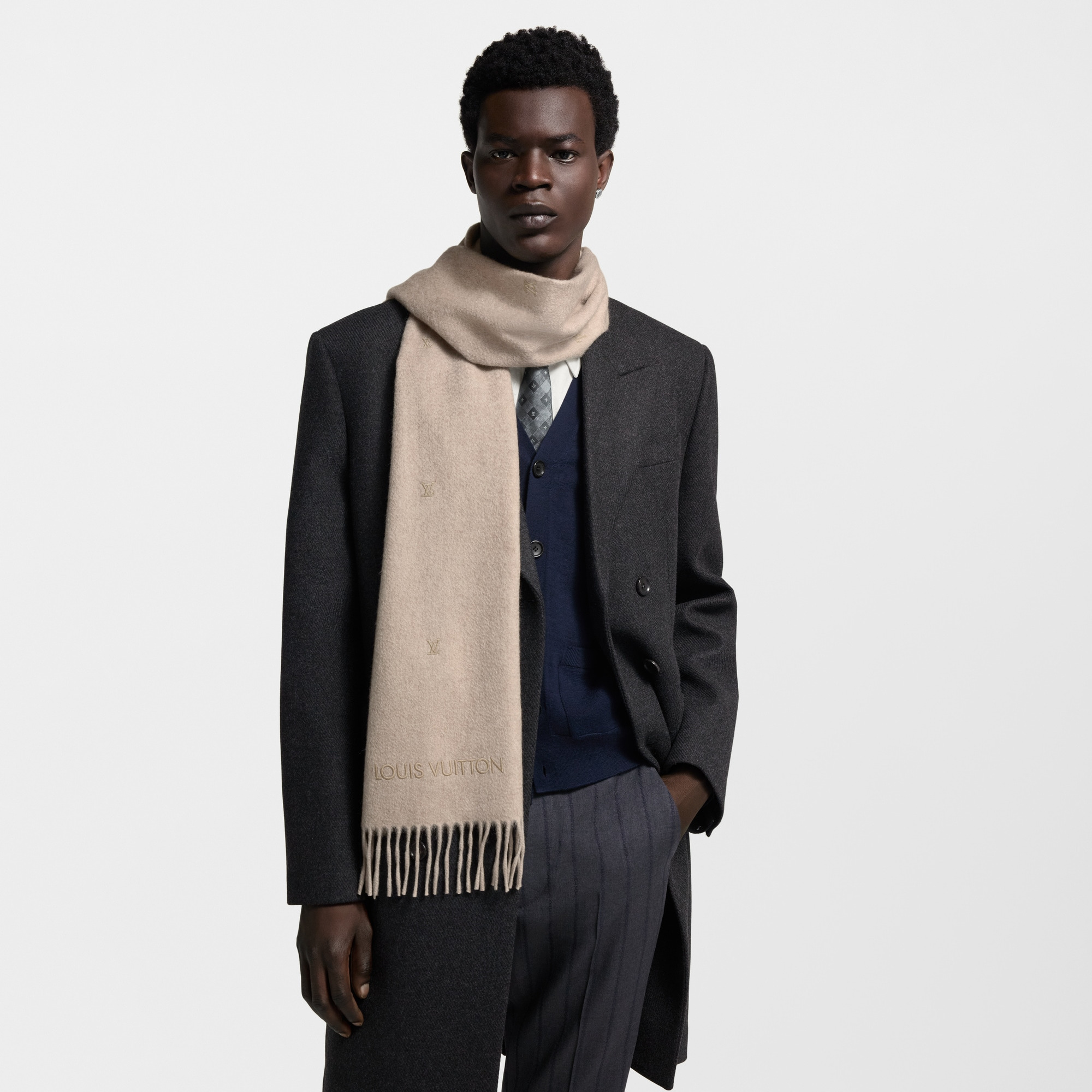 LV Blason Embroidered Scarf - 5