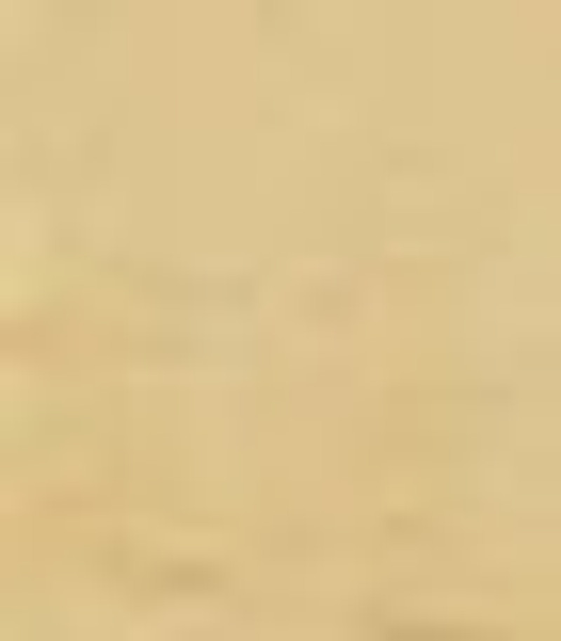 LADY SYDENHAM WATCH 7