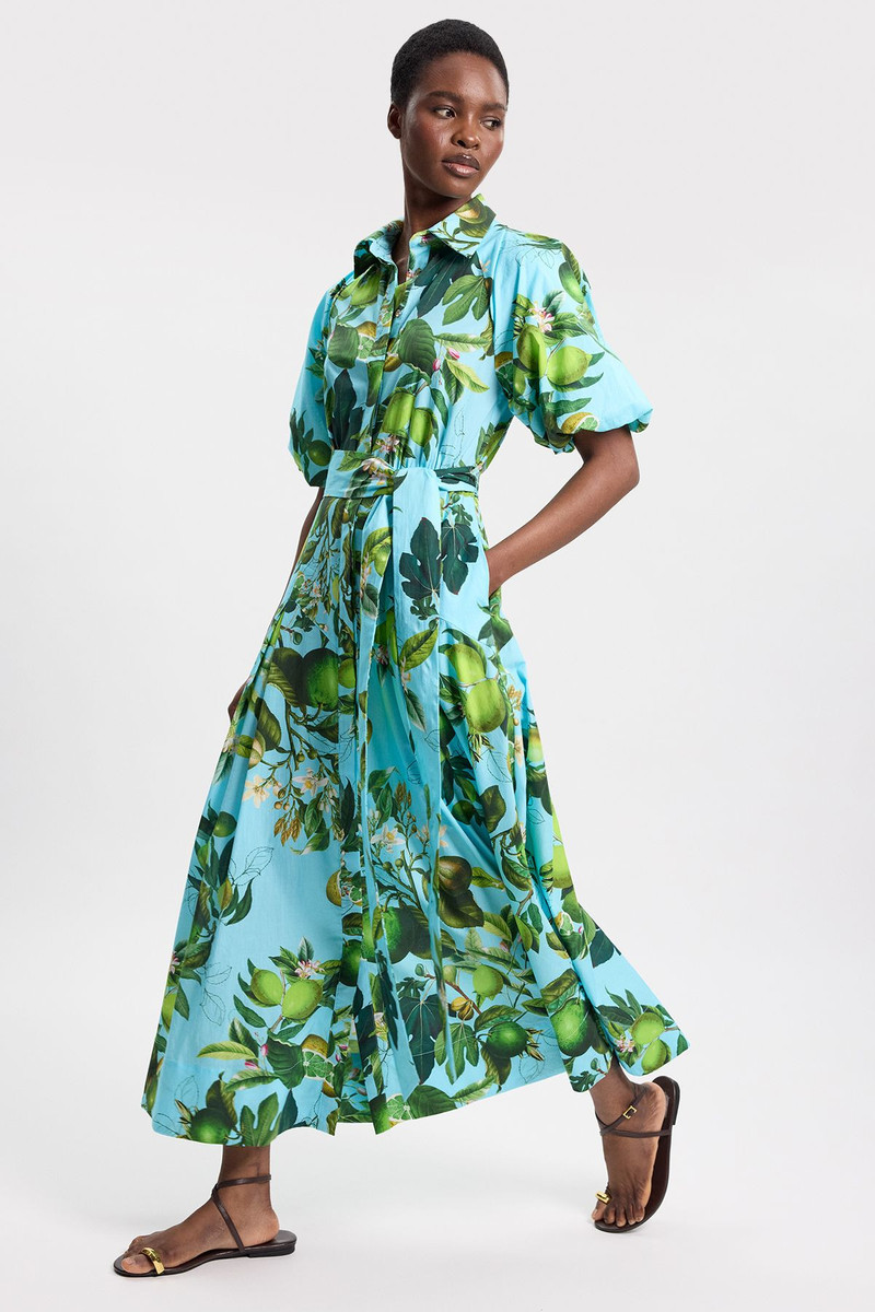 Petite Lime Print Cotton Puff Sleeve Woven Midi Shirt Dress With Dropped Waist Detail 5