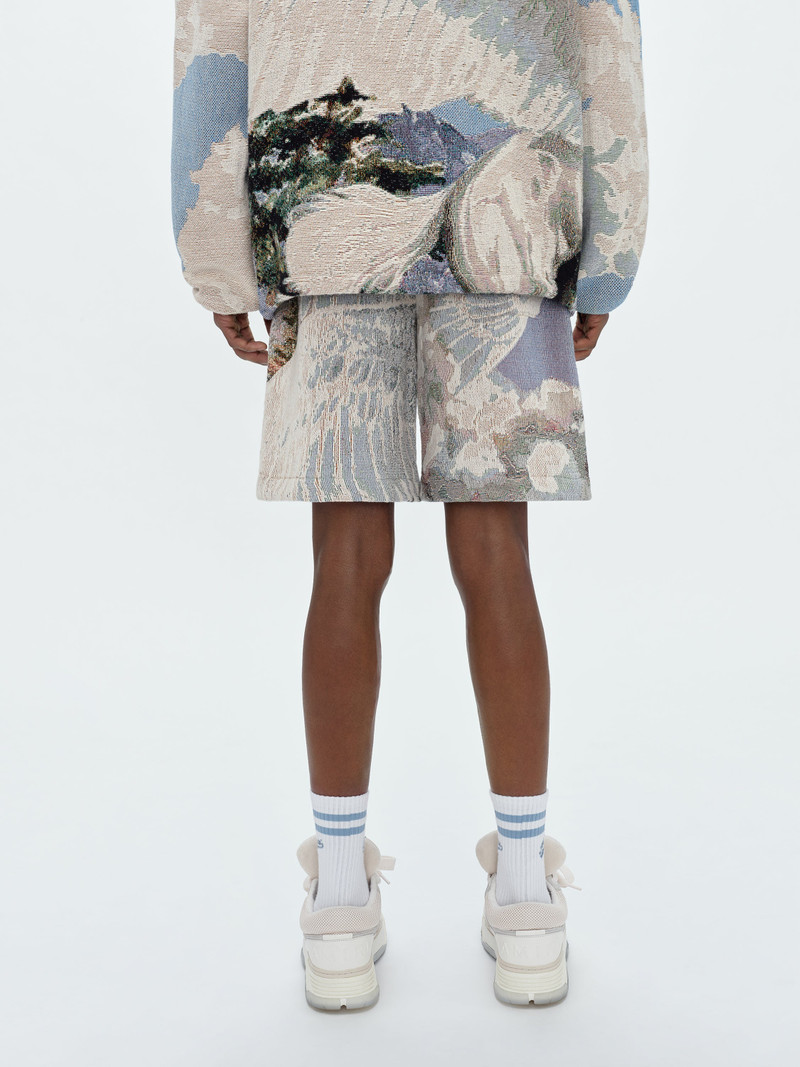 TAPESTRY PEGASUS BAGGY SHORTS 5