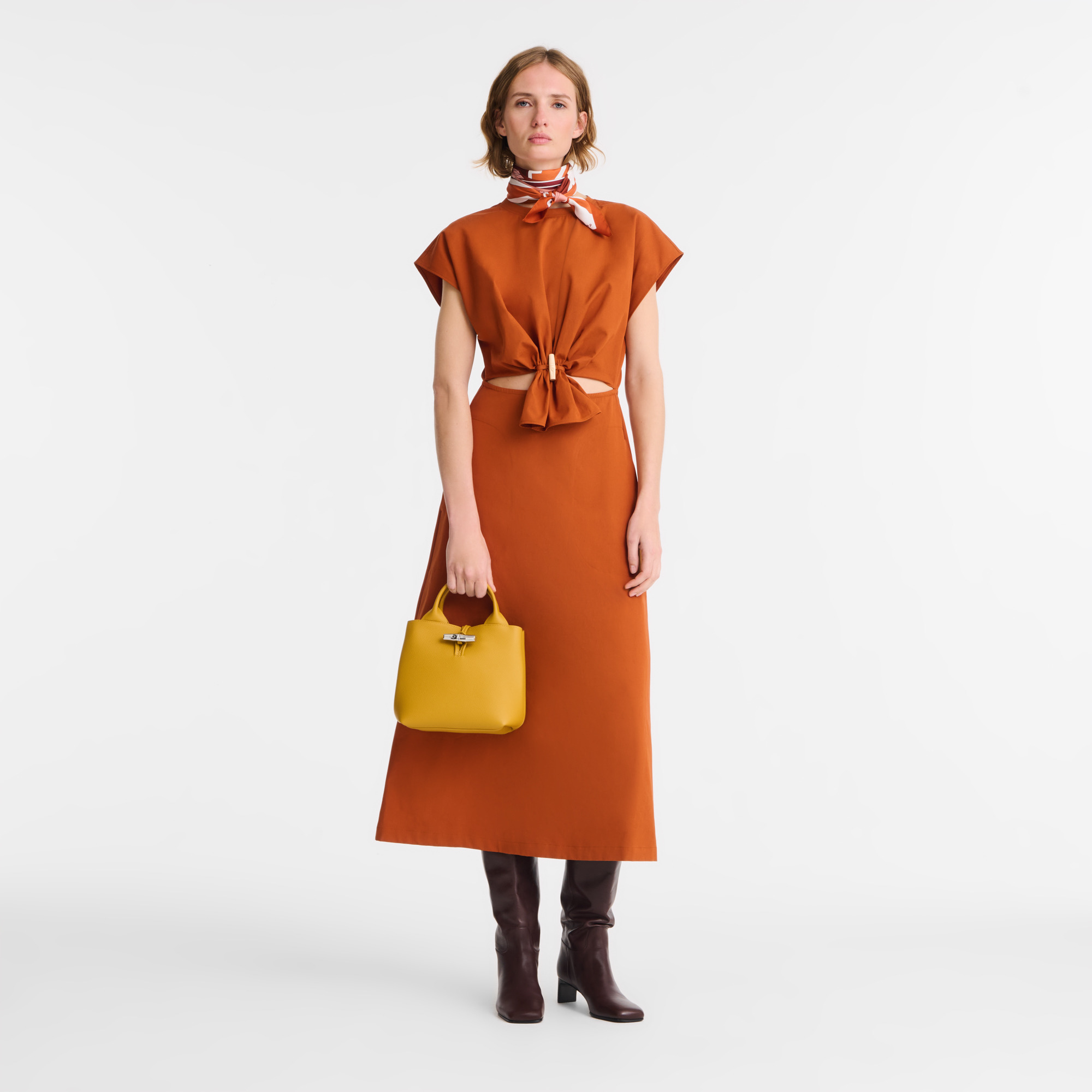 Le Roseau S Handbag Nutmeg - Leather - 2