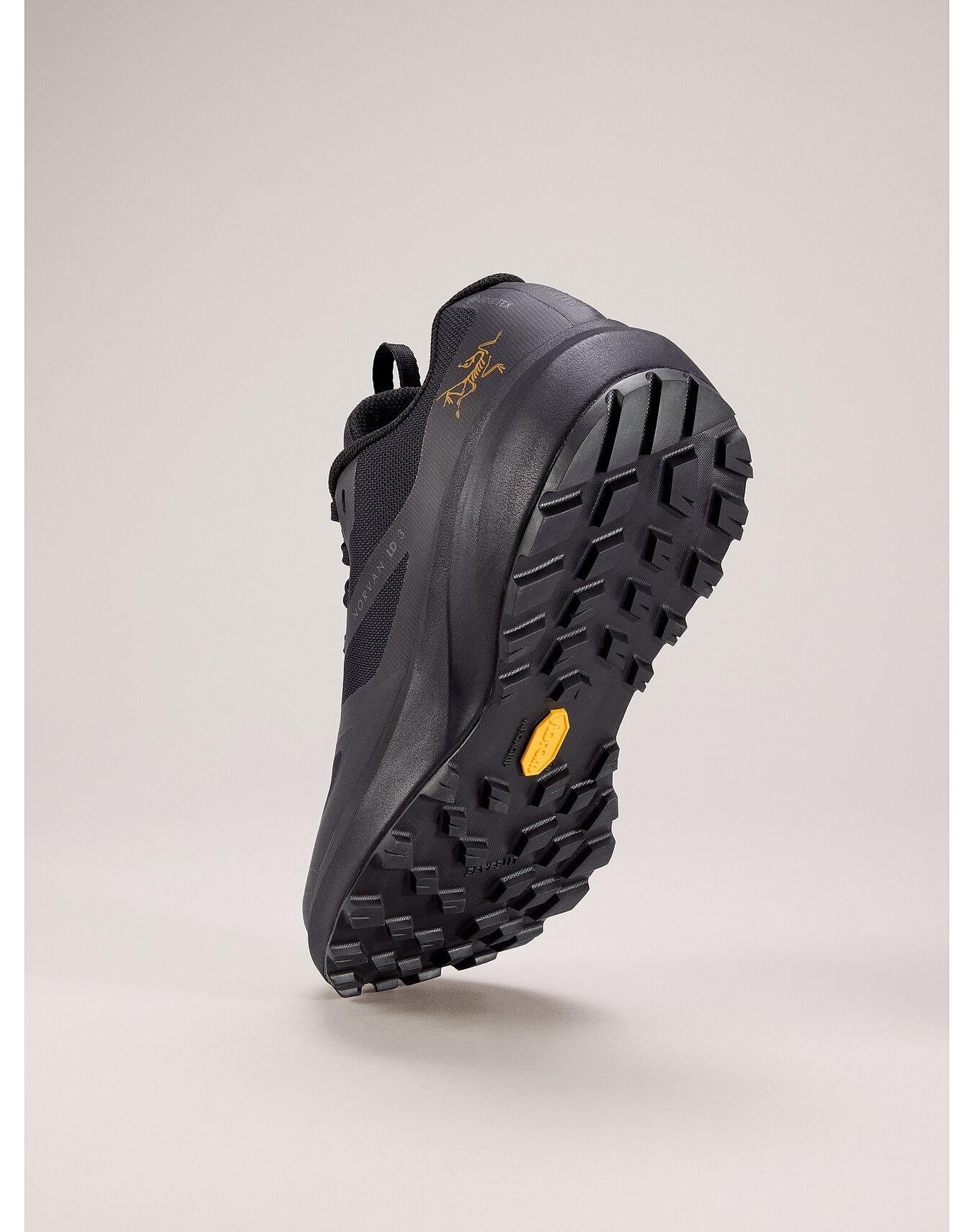 Norvan LD 3 GTX Shoe - 4
