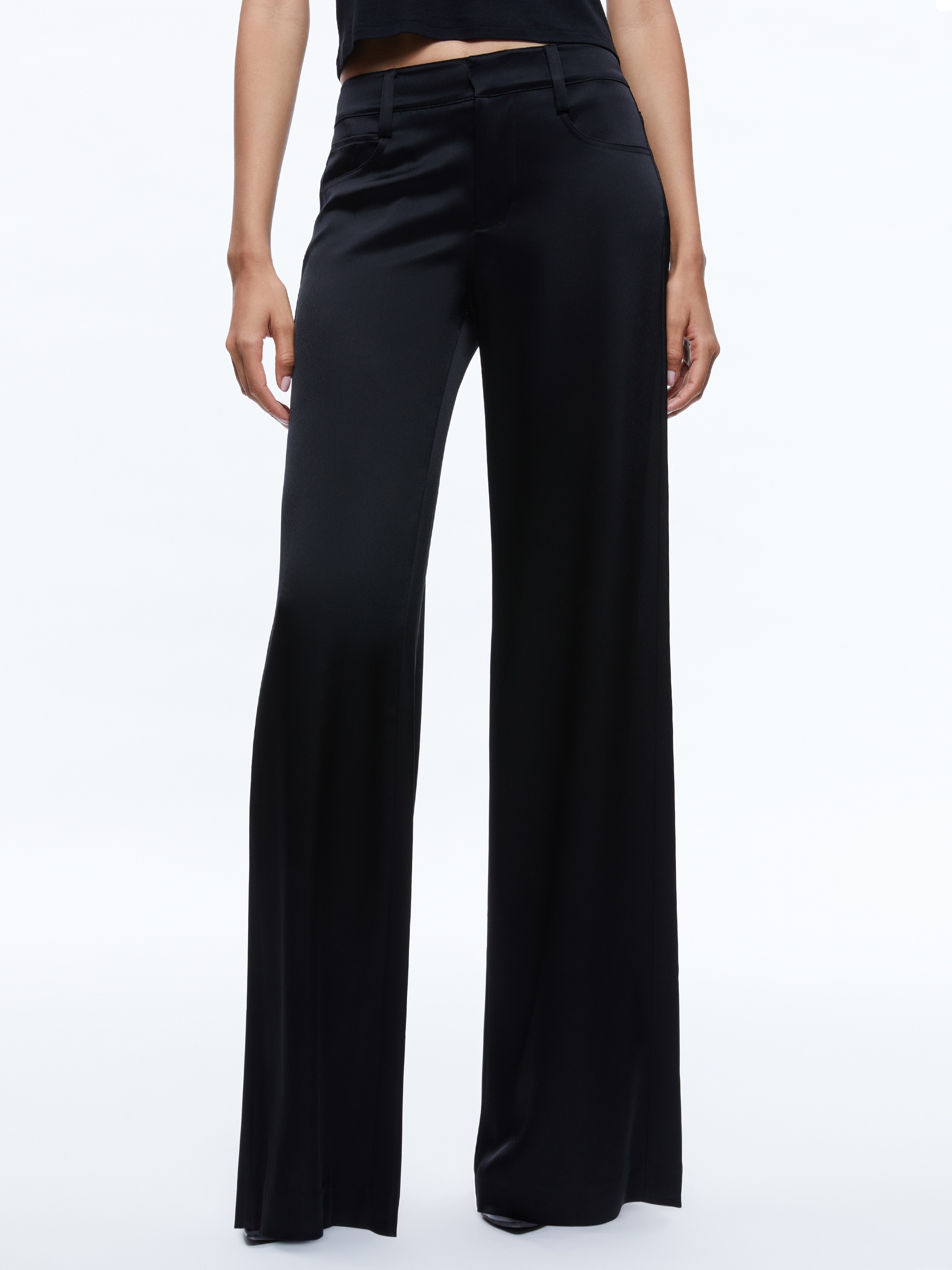 TRISH LOW RISE BAGGY PANT - 2