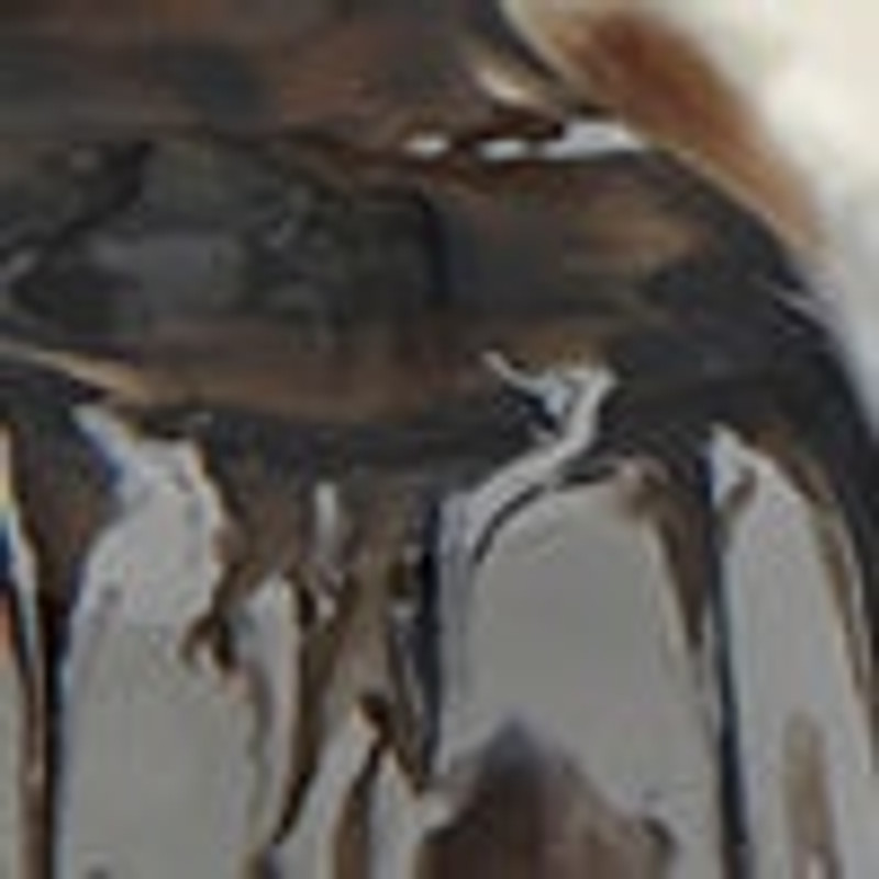 Flower Earring in Brass 4