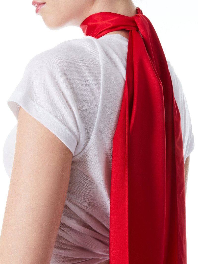 Alice + Olivia CHARM SCARF outlook