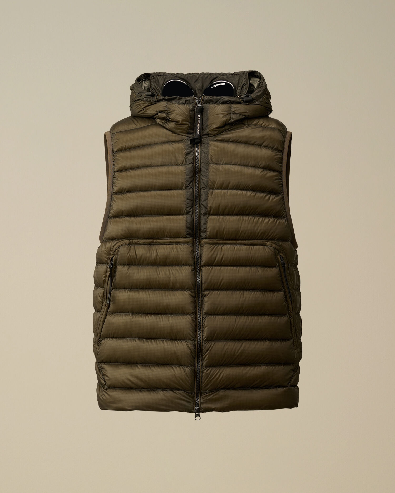 D.D. Shell Goggle Down Vest - 1