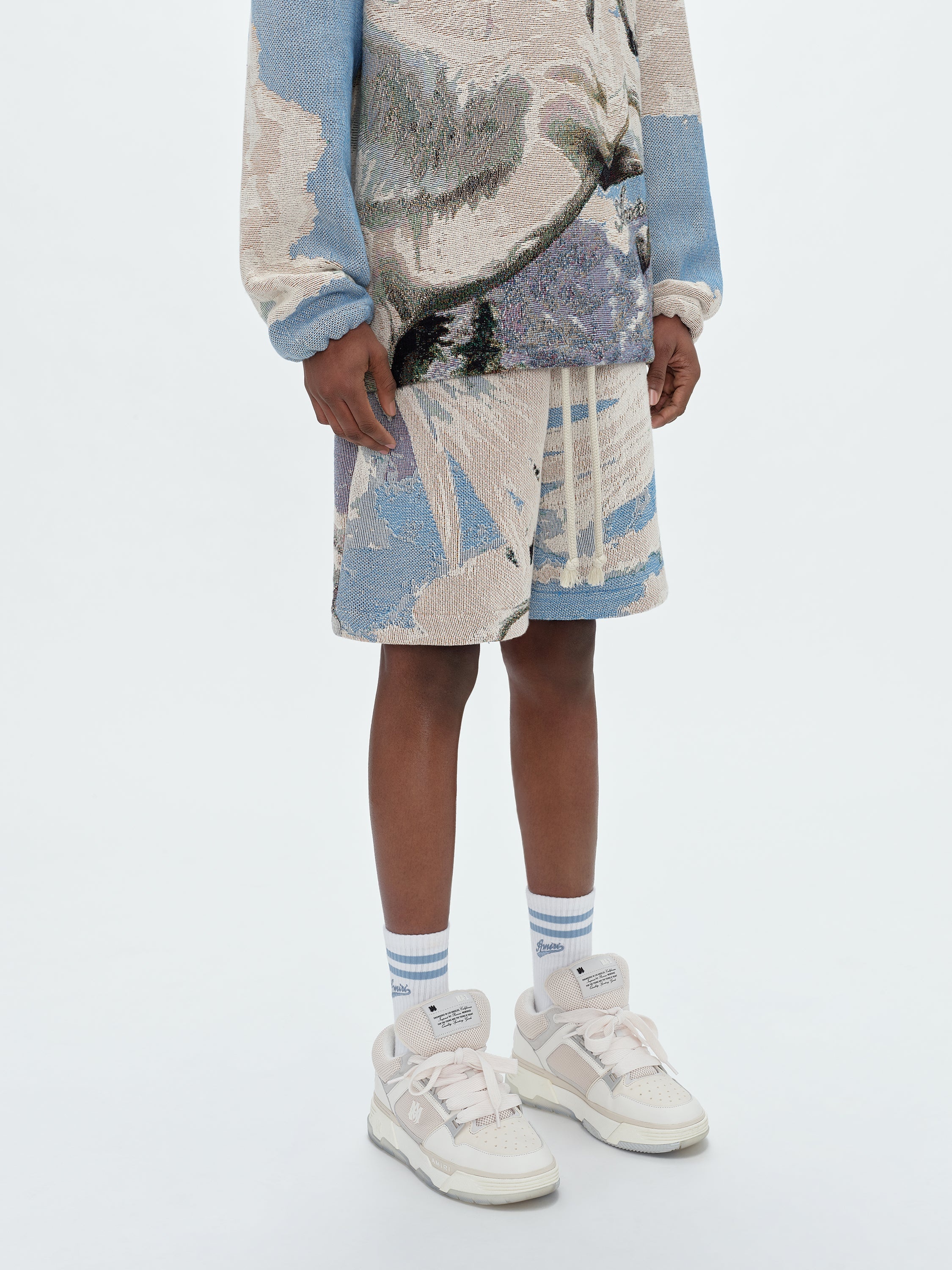 TAPESTRY PEGASUS BAGGY SHORTS - 4