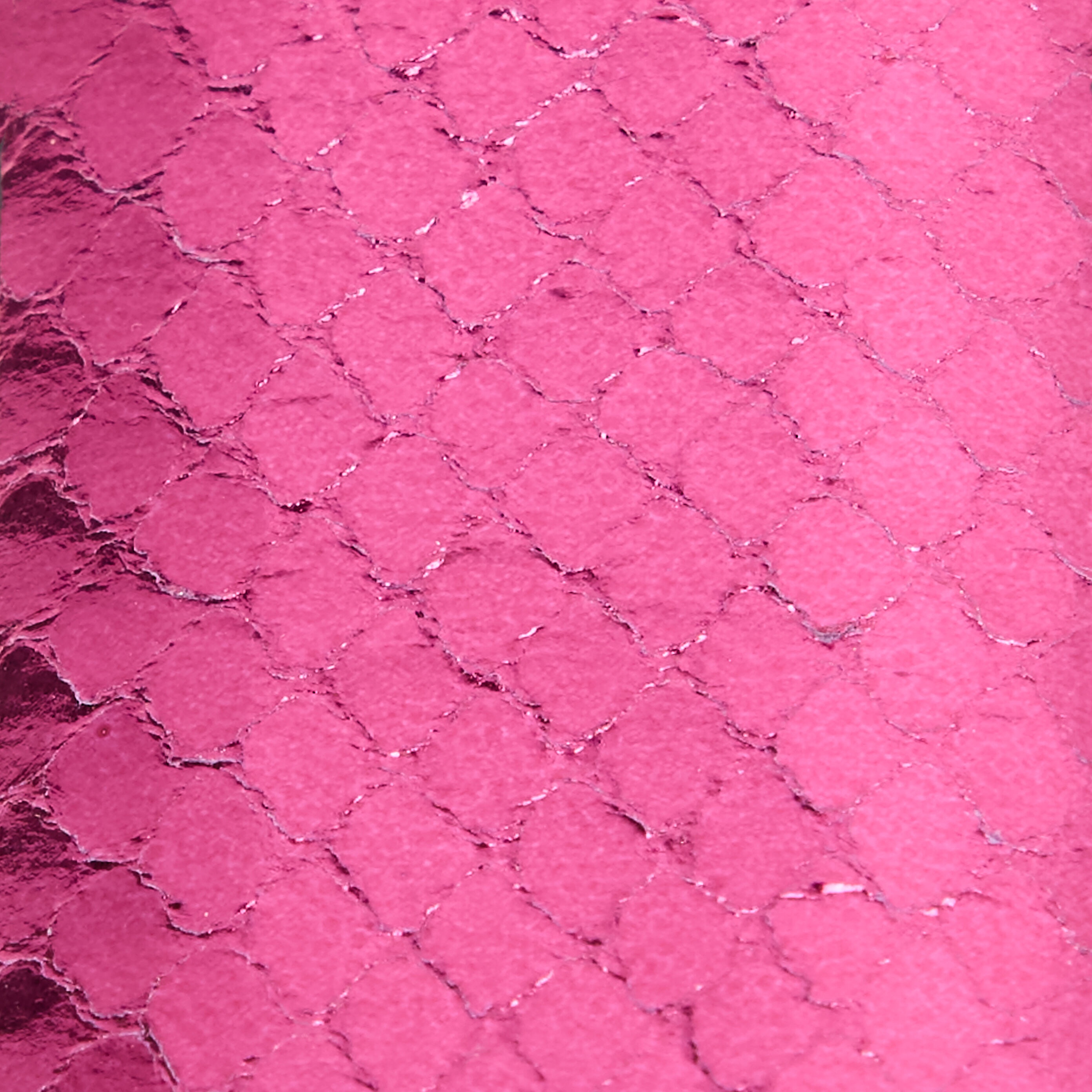 Belt with Snake Print and Jewel Tiger Detail - 3