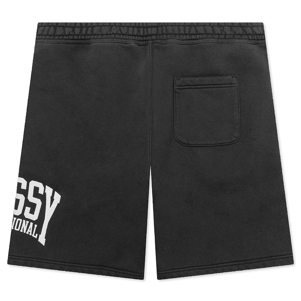 STUSSY INTL SHORT - WASHED BLACK - 2