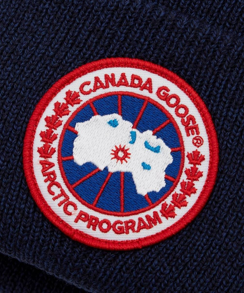 Arctic Disk Toque 3