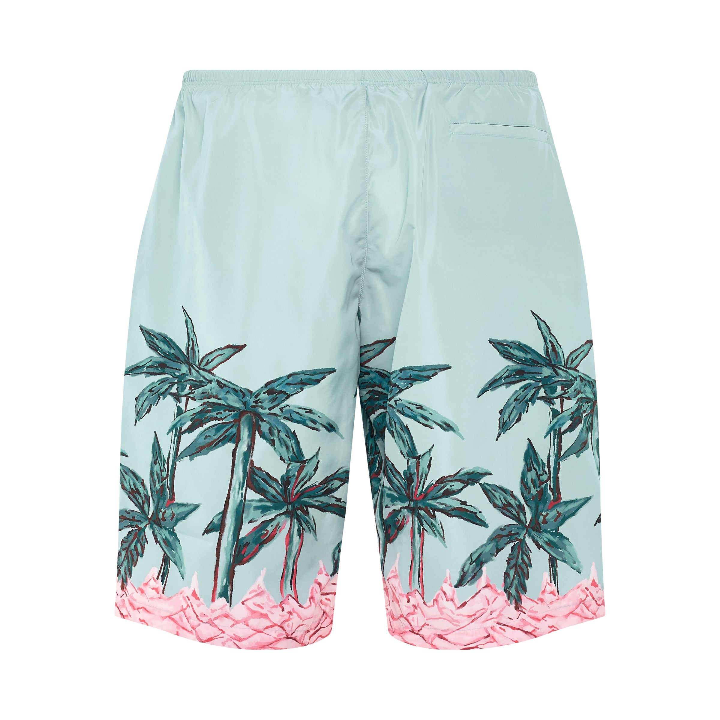 Palms Row Print Swimshorts in Light Blue/Green - 4