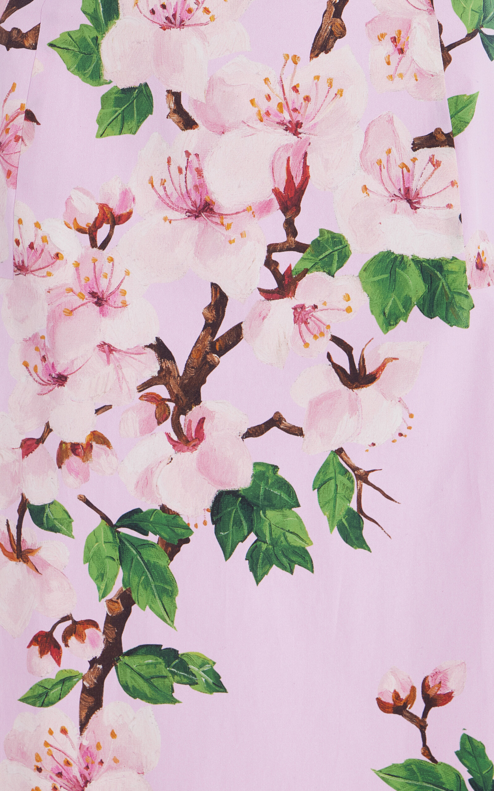 Belted Cotton Poplin Midi Dress pink - 6