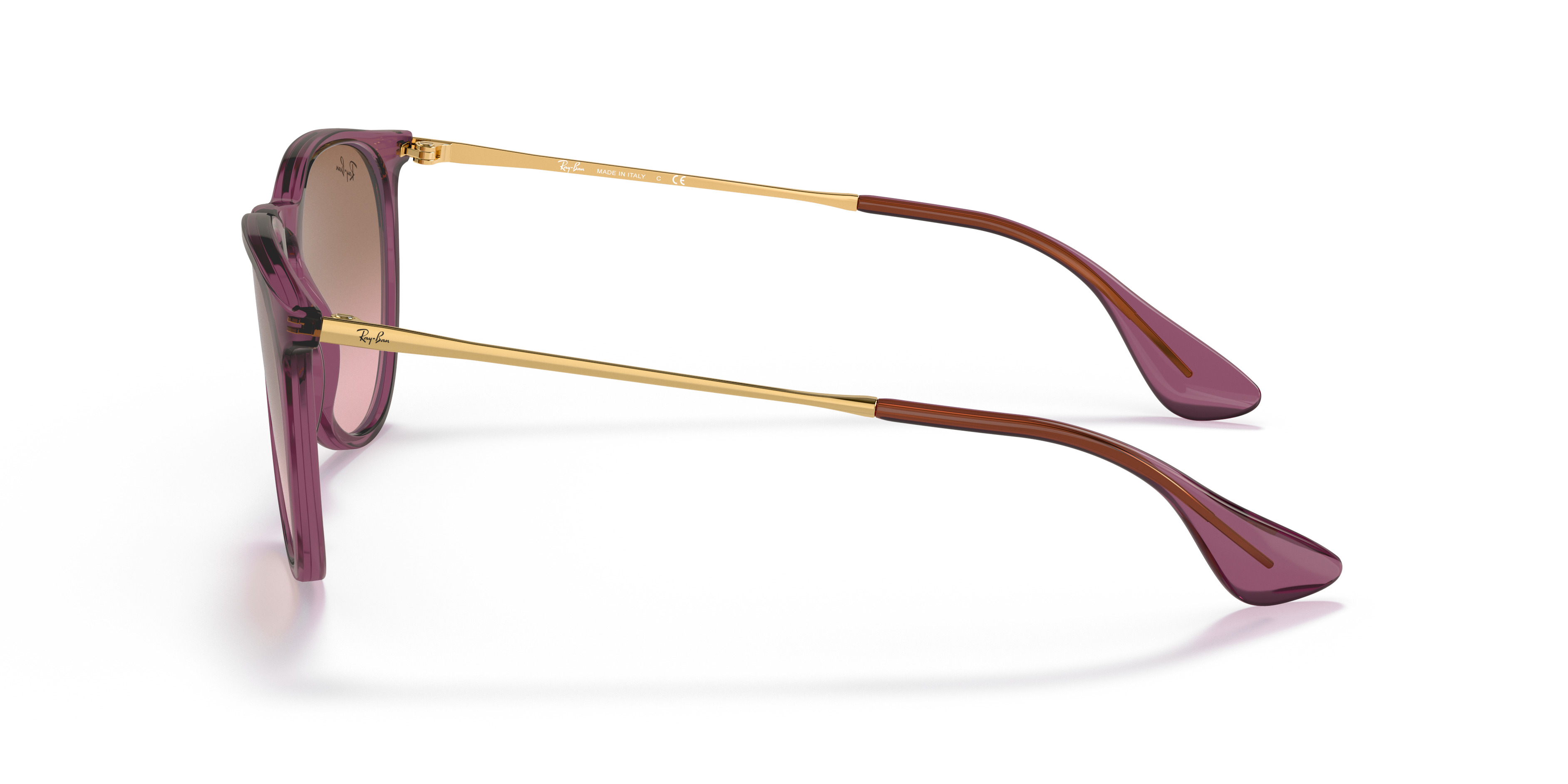 RB4171 Erika Classic - 3