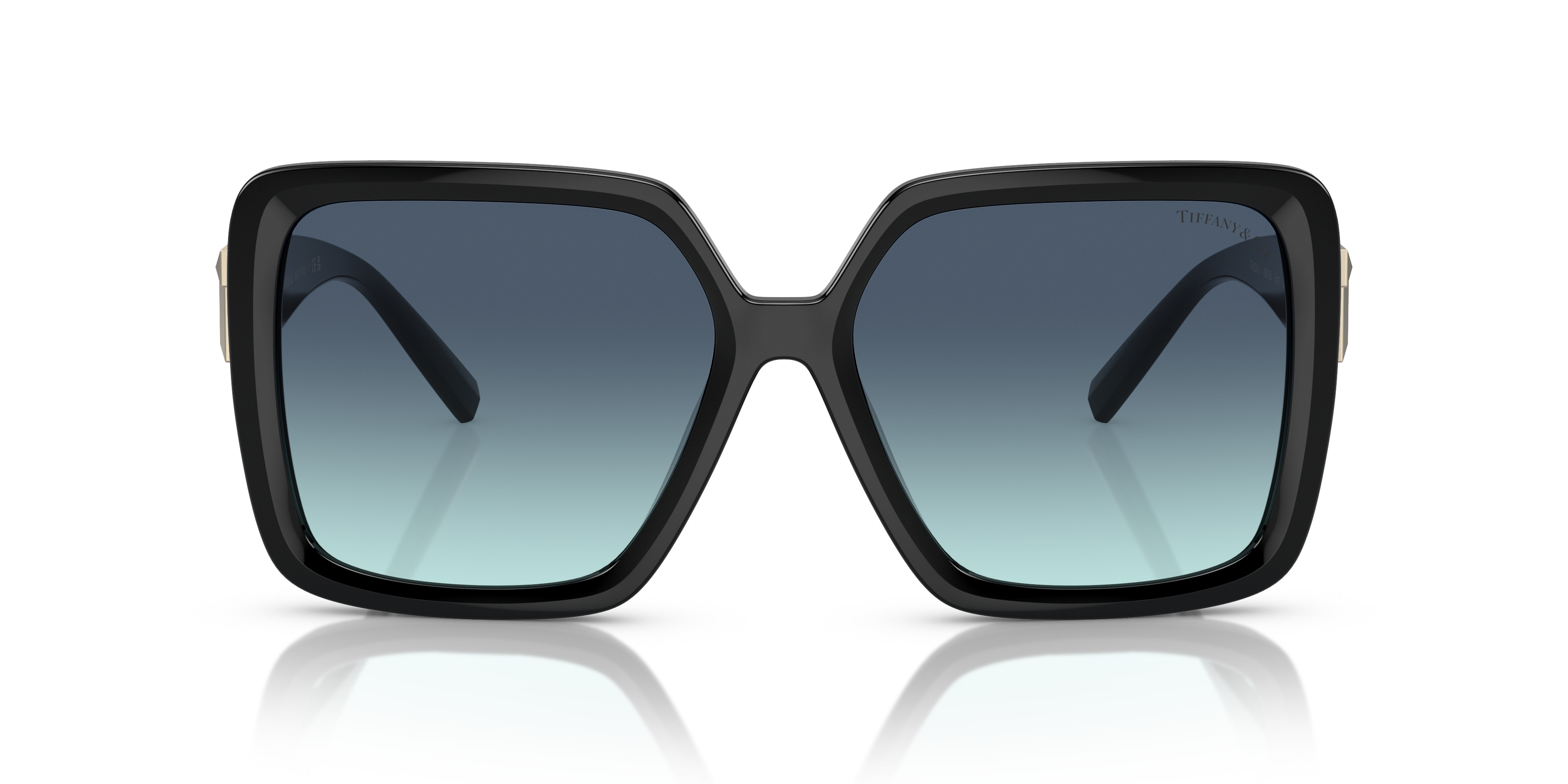 TF4206U - 2