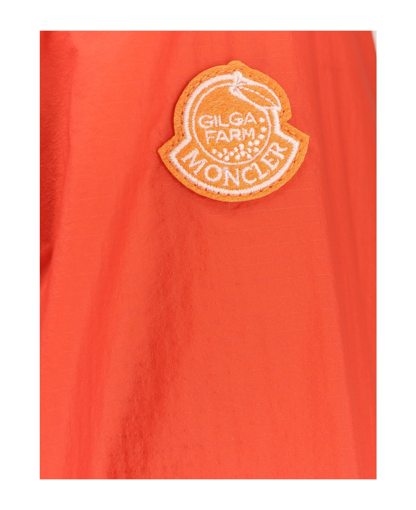 Hamlin Moncler X Gilga Farm Designed By Donald Glover Nylon Jacket - 3