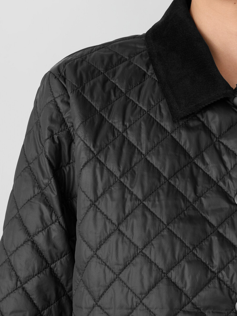 Eggshell Recycled Nylon Quilted Classic Collar Jacket 5