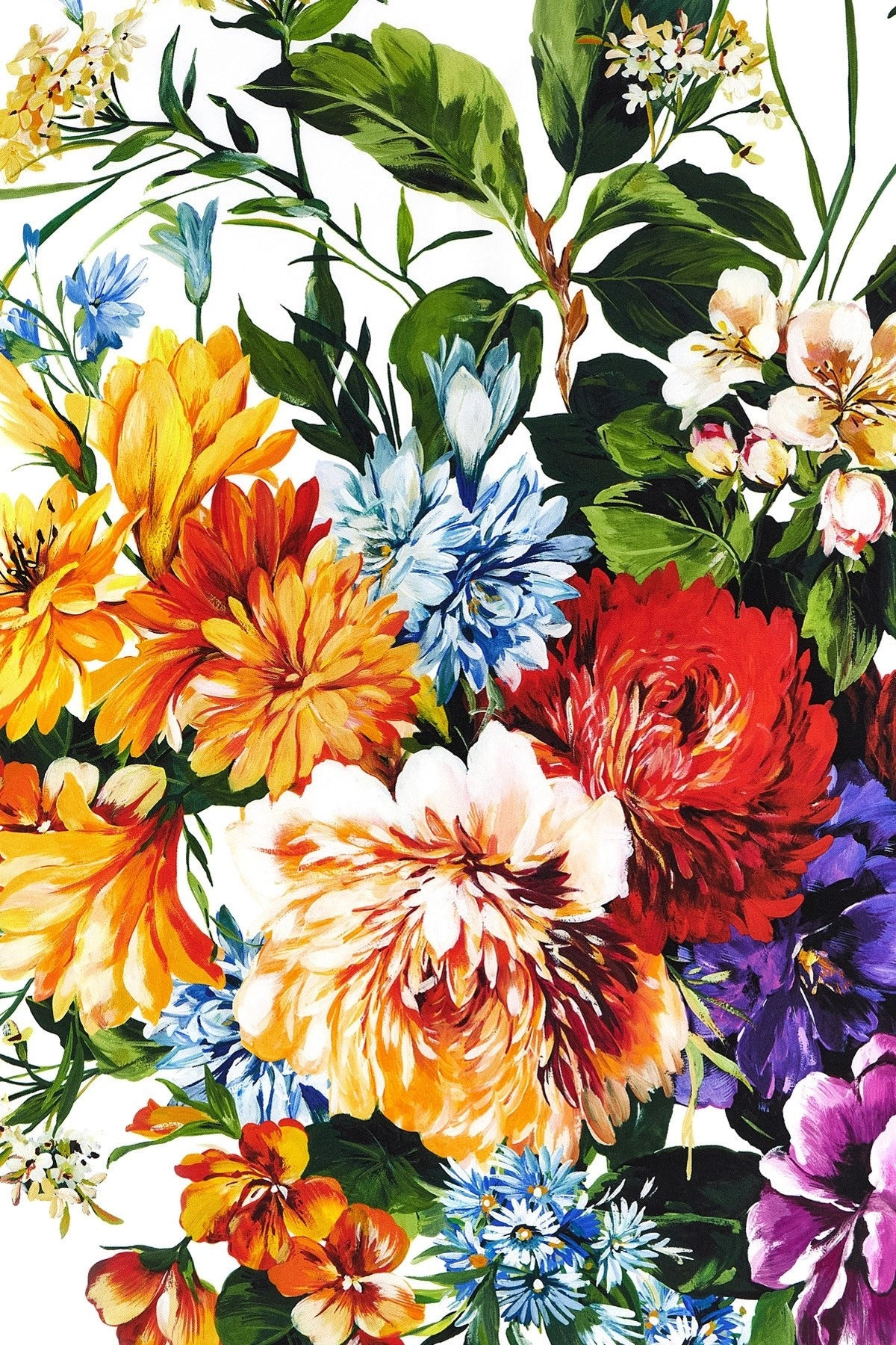 Dolce & Gabbana Women Floral Print Scarf - 3