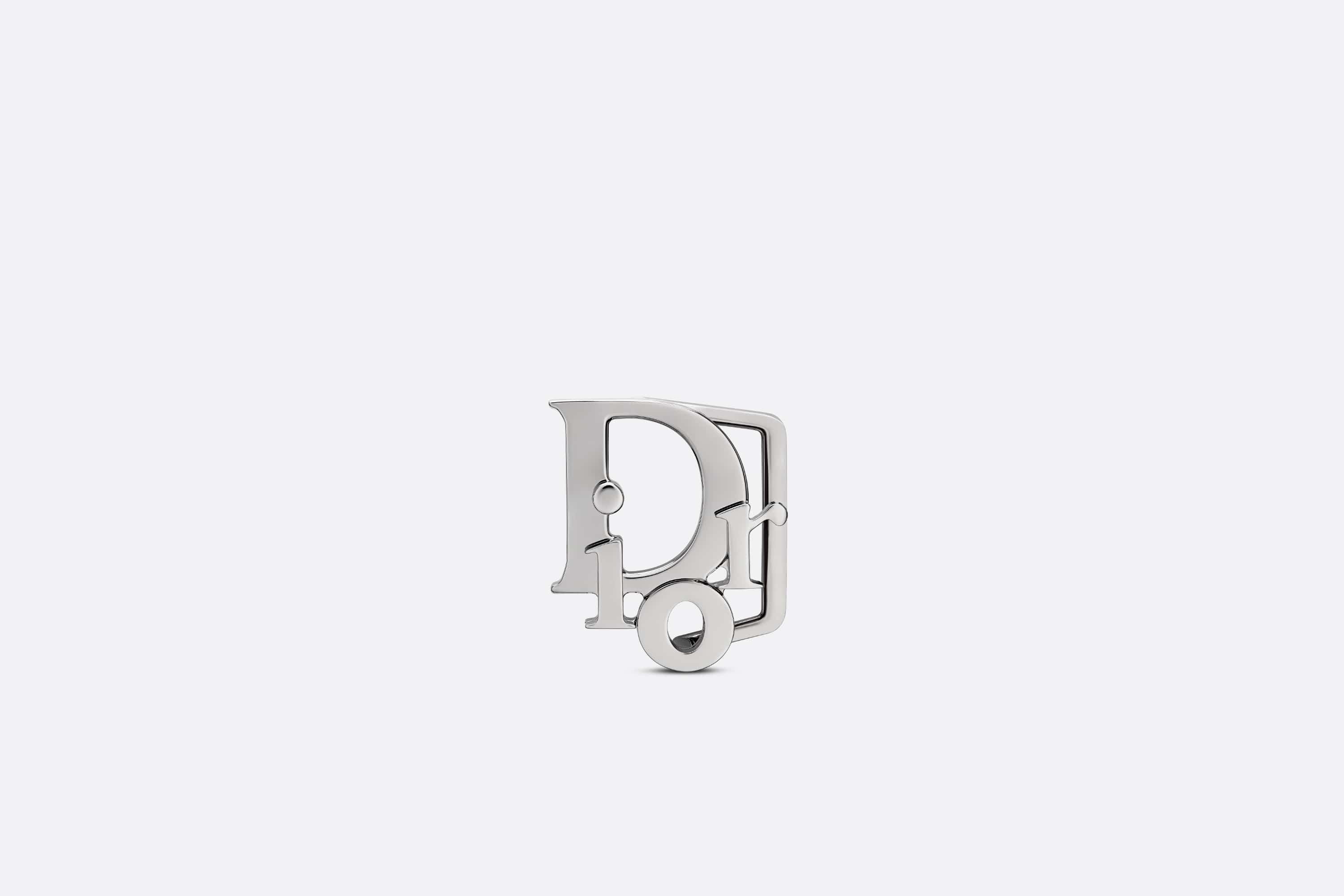 Dior Oblique Belt Buckle - 1