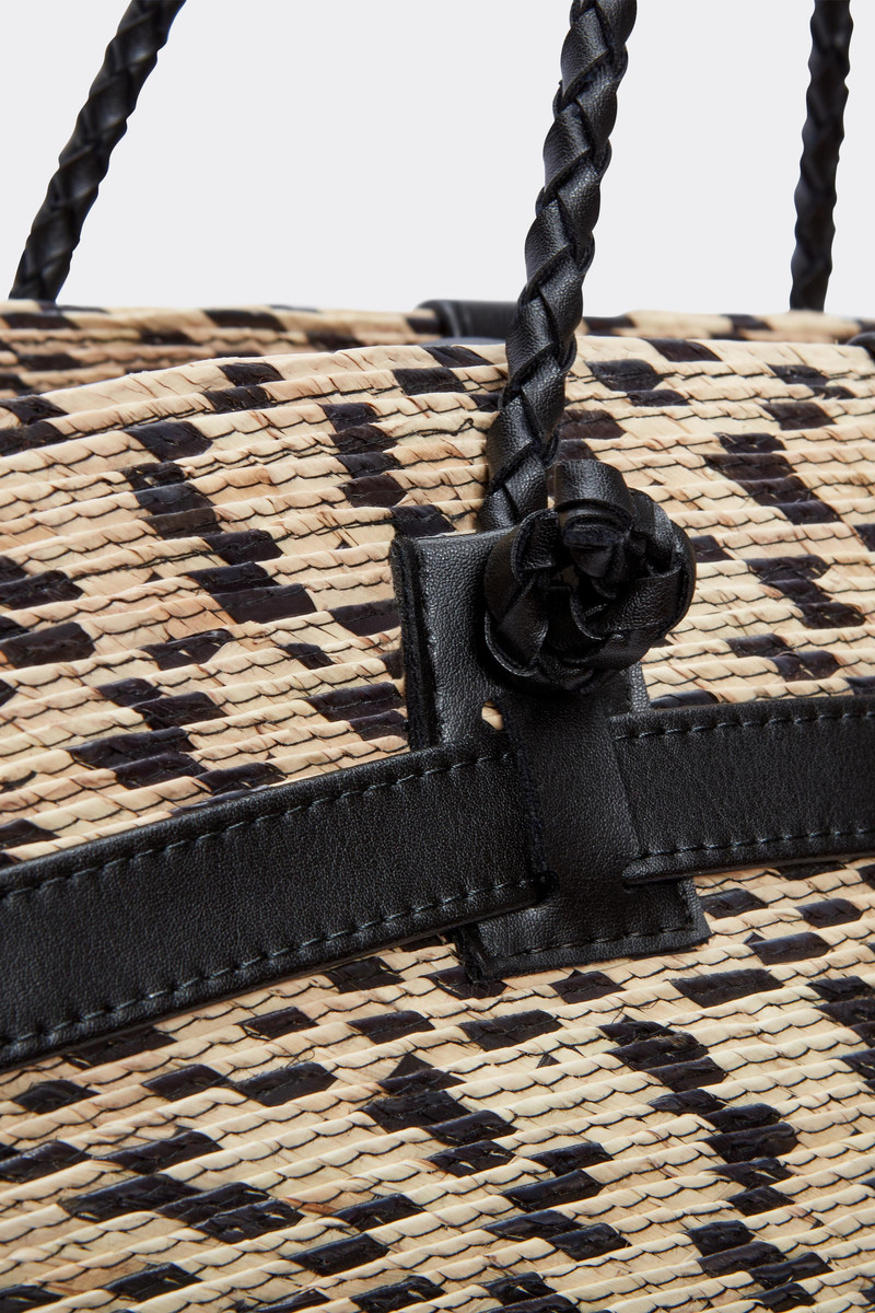 CACTUS 'WATERMILL' LARGE 4