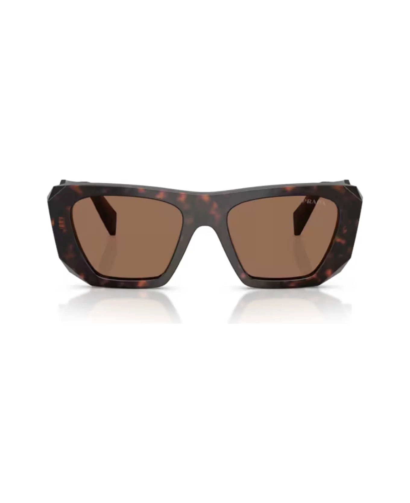 Prada Pr B18s Prada Symbole 17n06b Root Tartarugato Sunglasses - 1