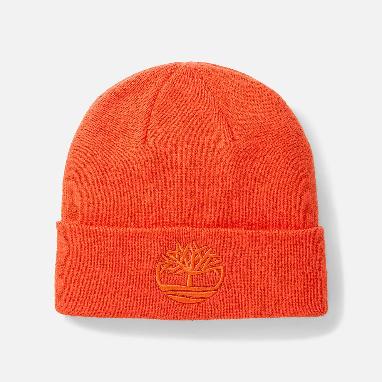 3D Embroidered Beanie - 1