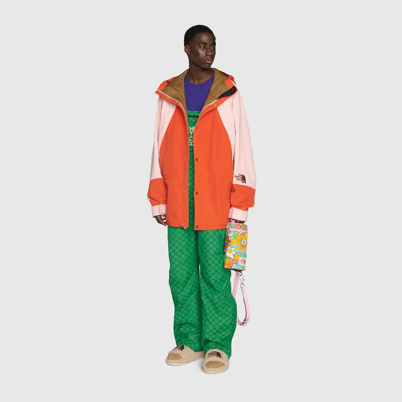 GUCCI The North Face x Gucci jacket outlook