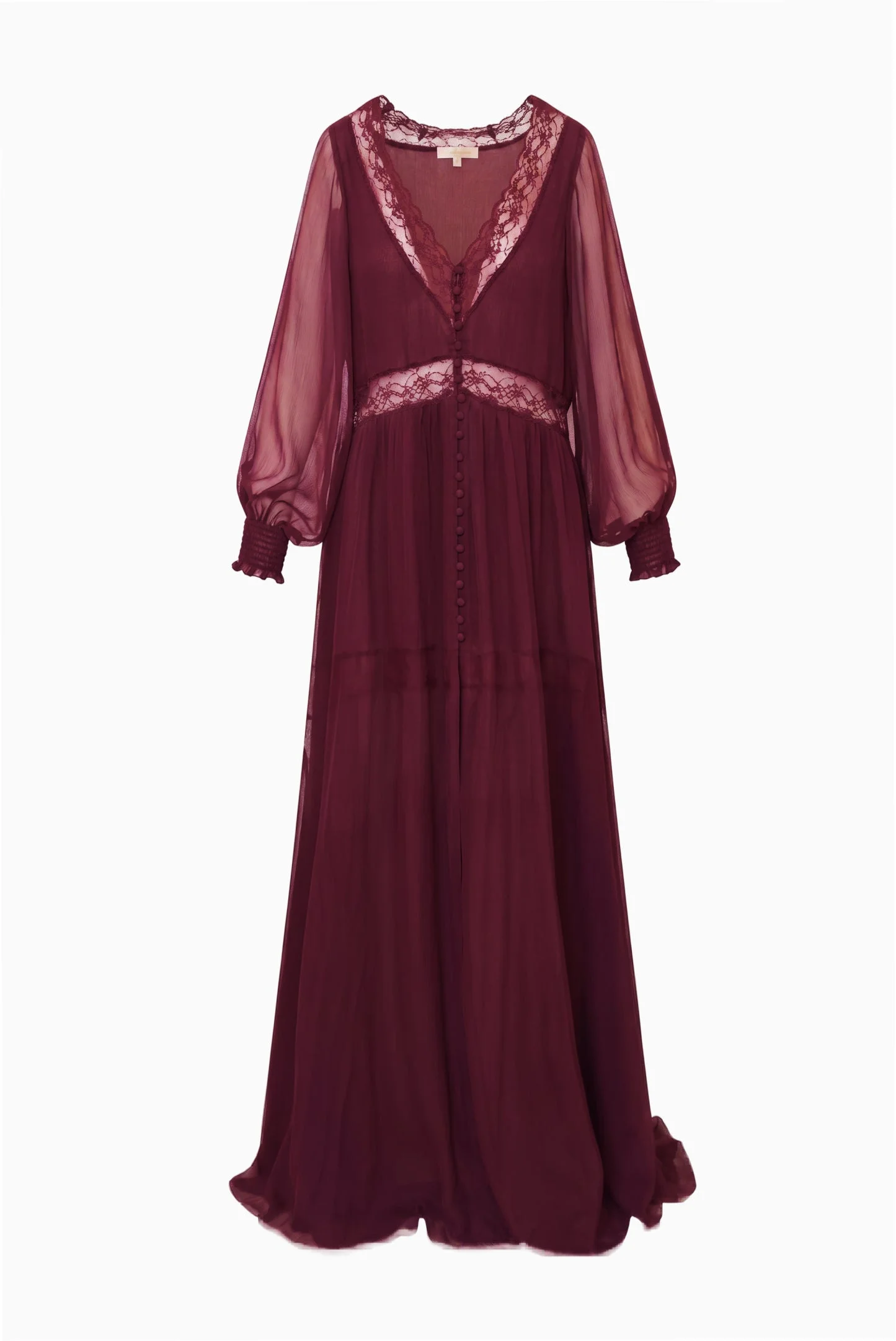 Vionara Sheer Silk Maxi Dress - 1