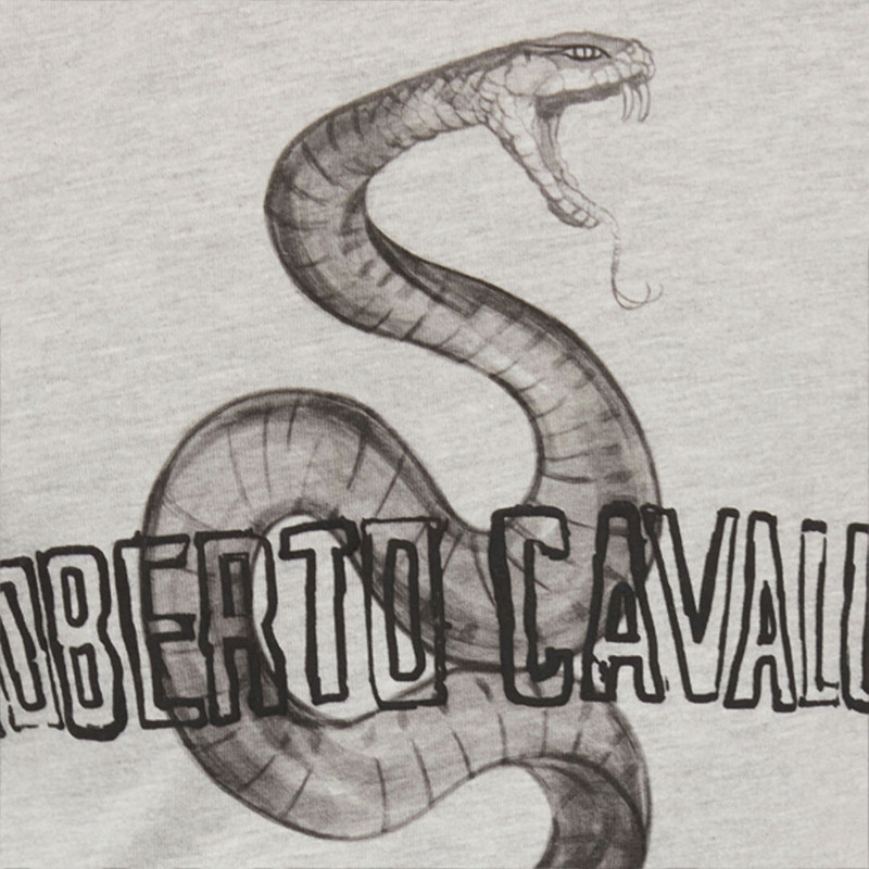 Grey Mélange T-Shirt with Snake and Logo 5