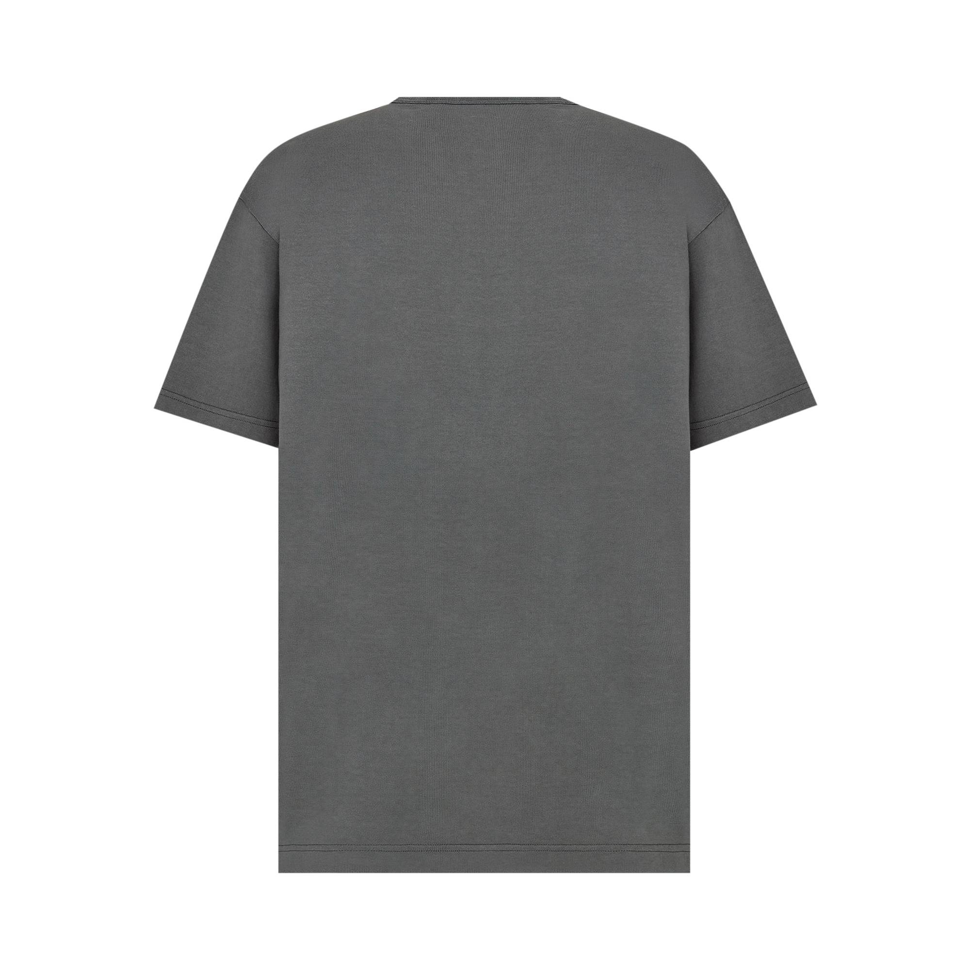 Dior x Cactus Jack Oversized T-Shirt 'Grey' - 2