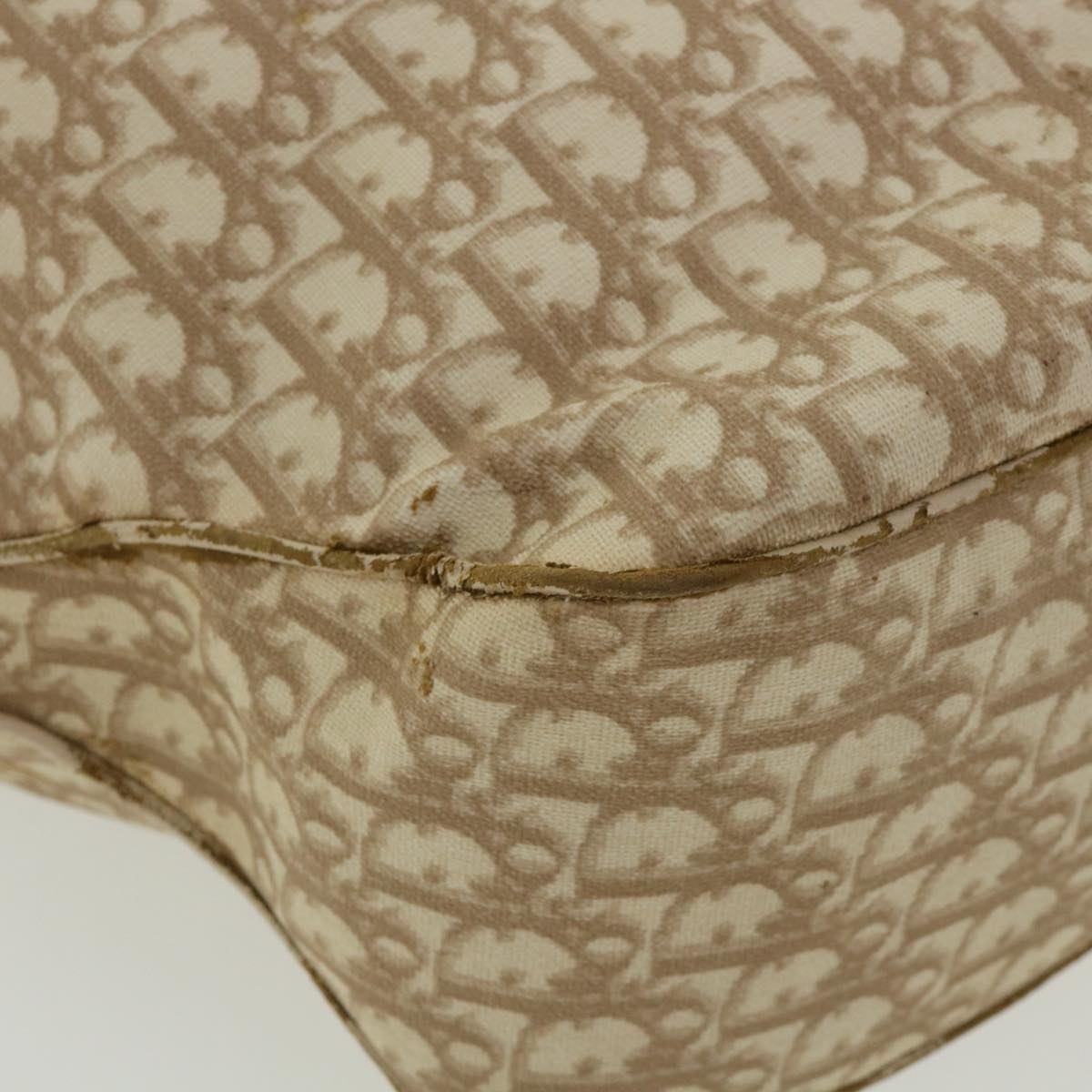 DIOR Trotter Canvas Chain Tote Bag Leather Beige - 9