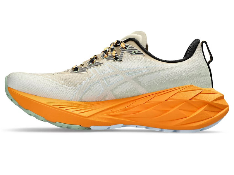 Asics NOVABLAST 4 TR outlook