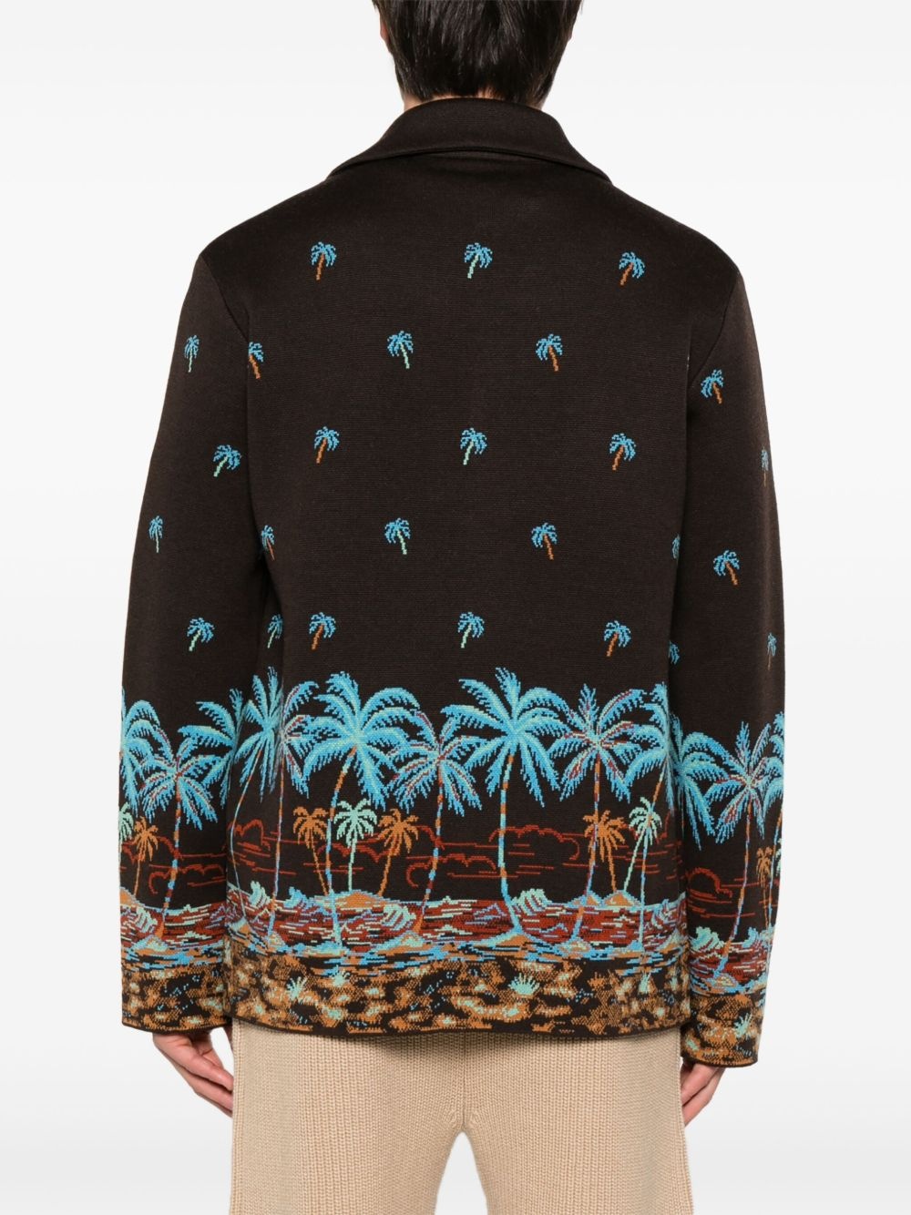The Tale of a Hawaiian shirt - 4