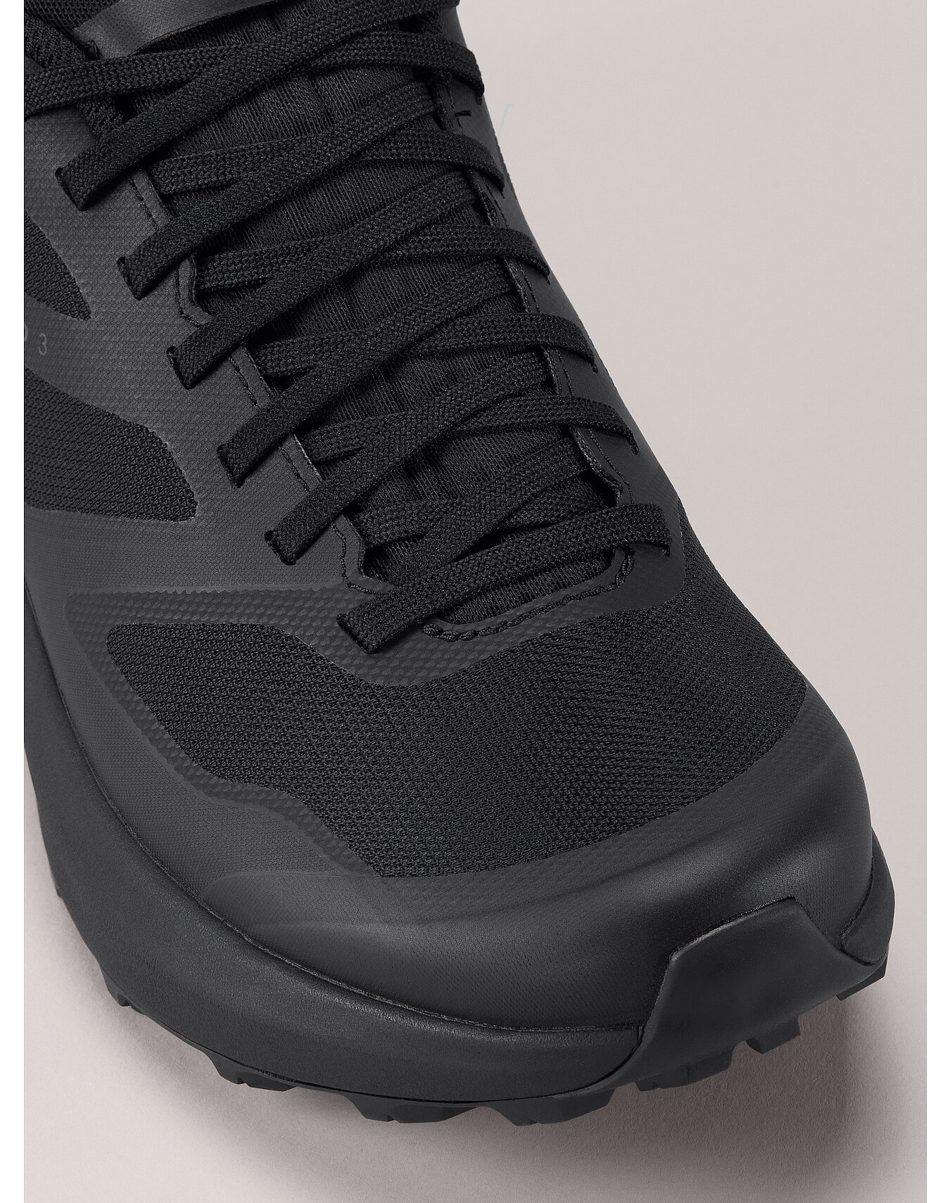 Norvan LD 3 GTX Shoe - 2