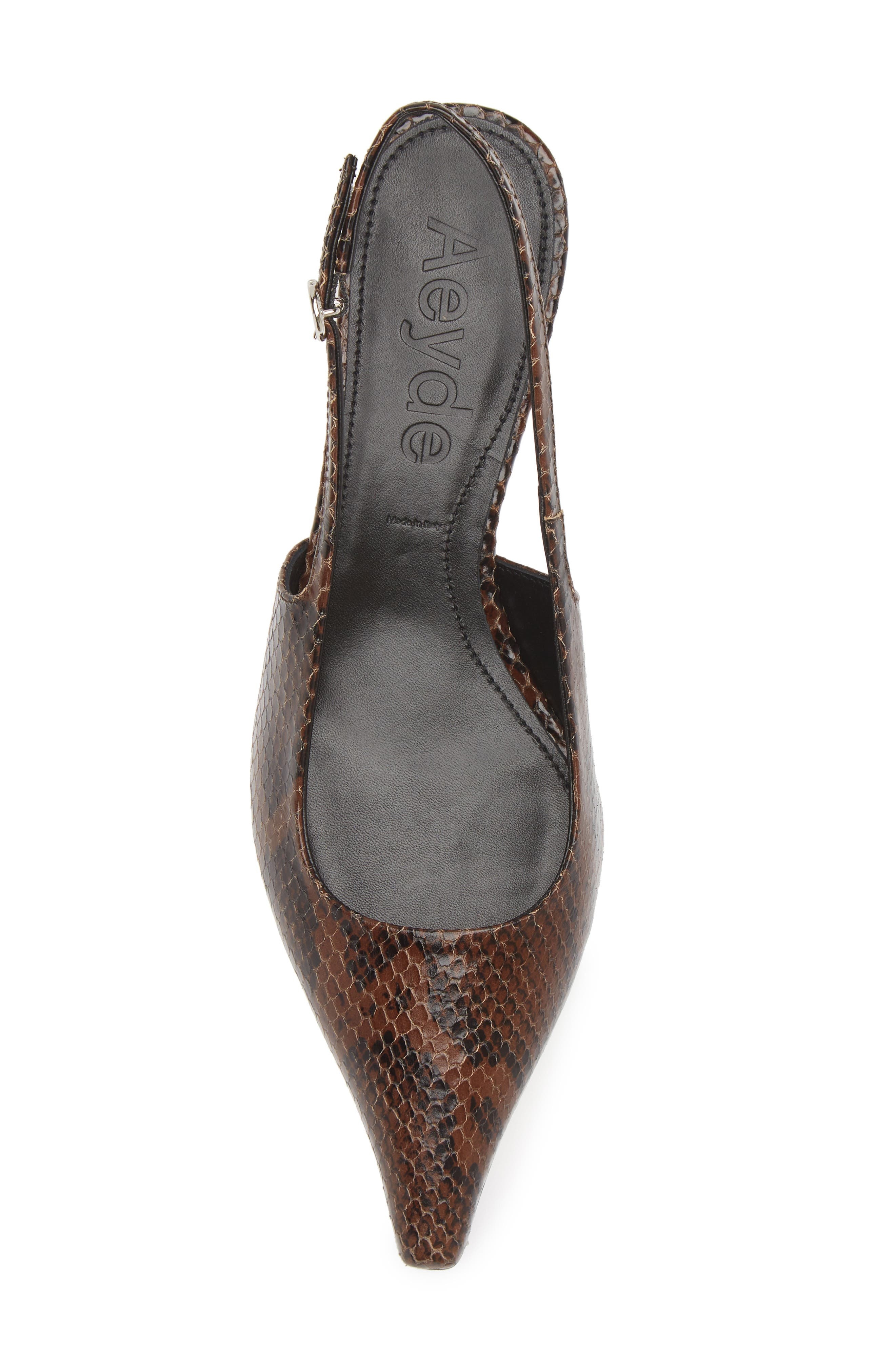 aeyde Catrina Pointed Toe Pump in Moka at Nordstrom - 5