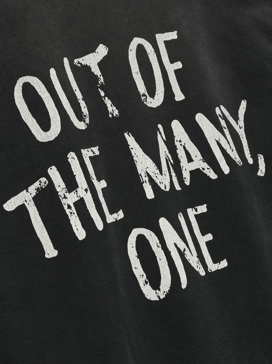 "Out Of Many, One" Hoodie - 4