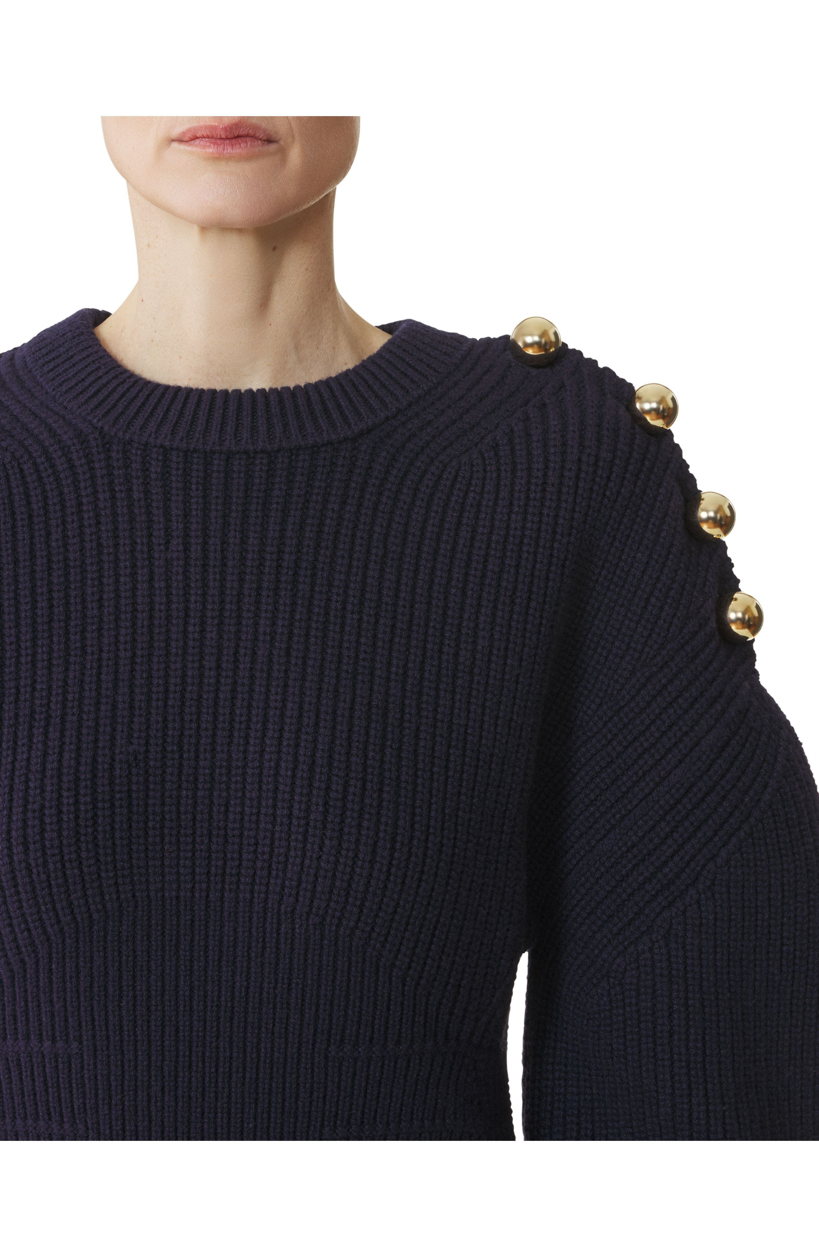 Lanvin Wool Ribbed Sweater in Montana at Nordstrom - 5