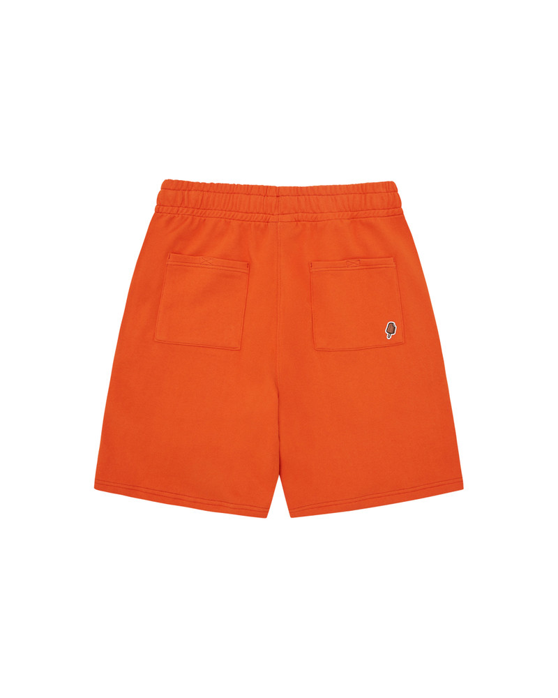 ICECREAM COLLEGIATE PUPPY SHORTS outlook