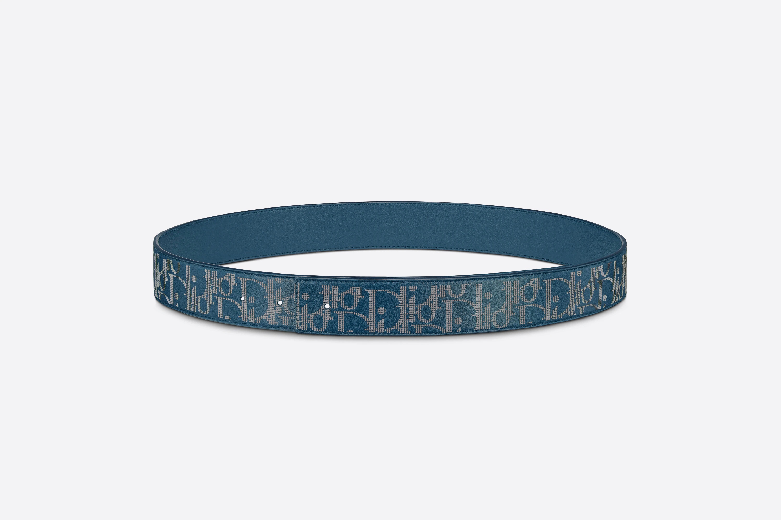 Dior World Tour Reversible Belt Strap - 1