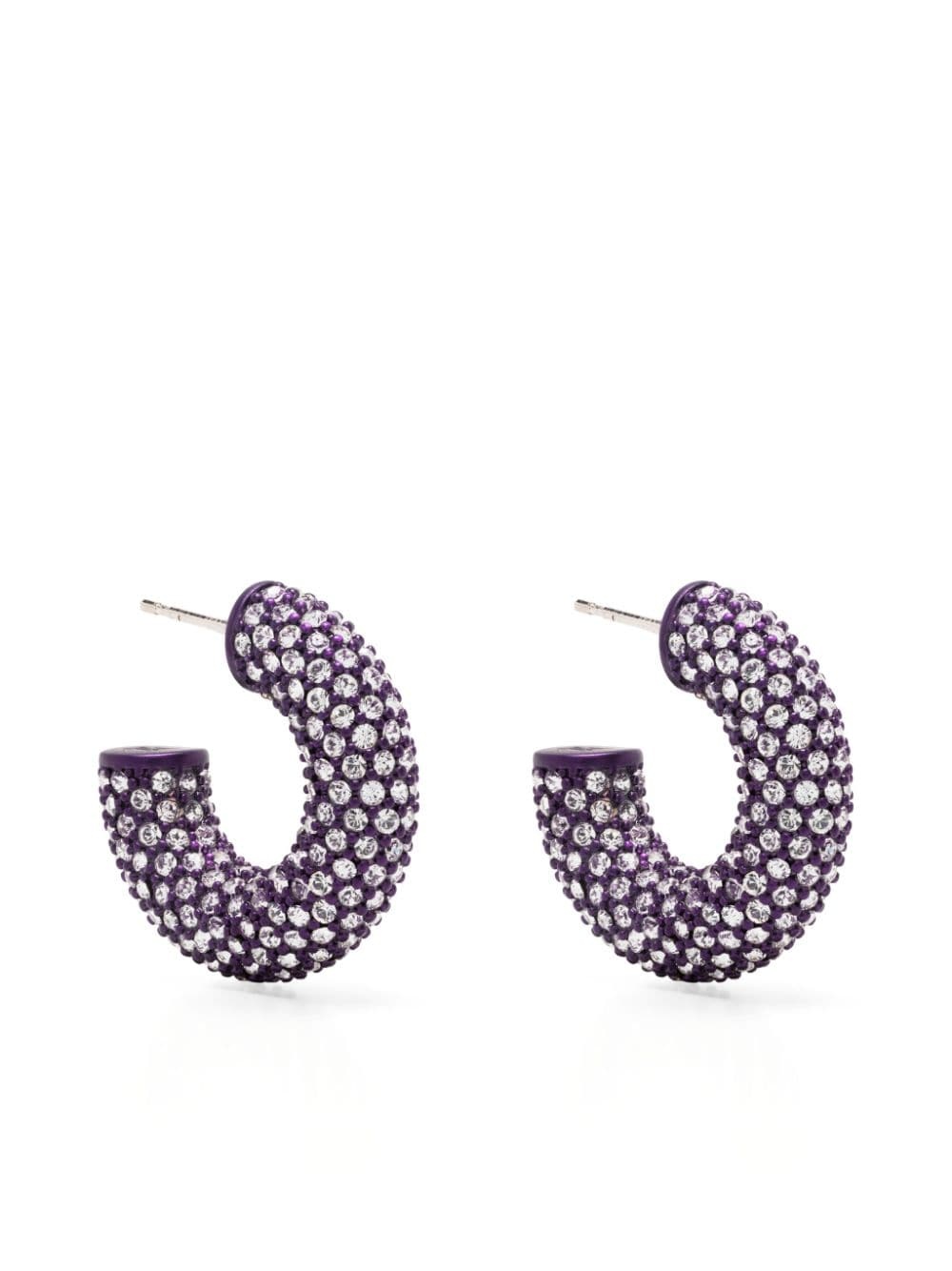 small Cameron crystal-embellished earrings - 1