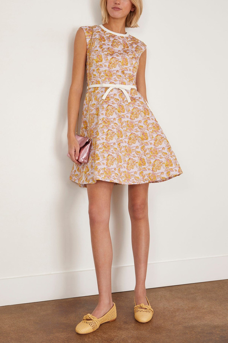 GIAMBATTISTA VALLI Dress in Rose/Multi outlook