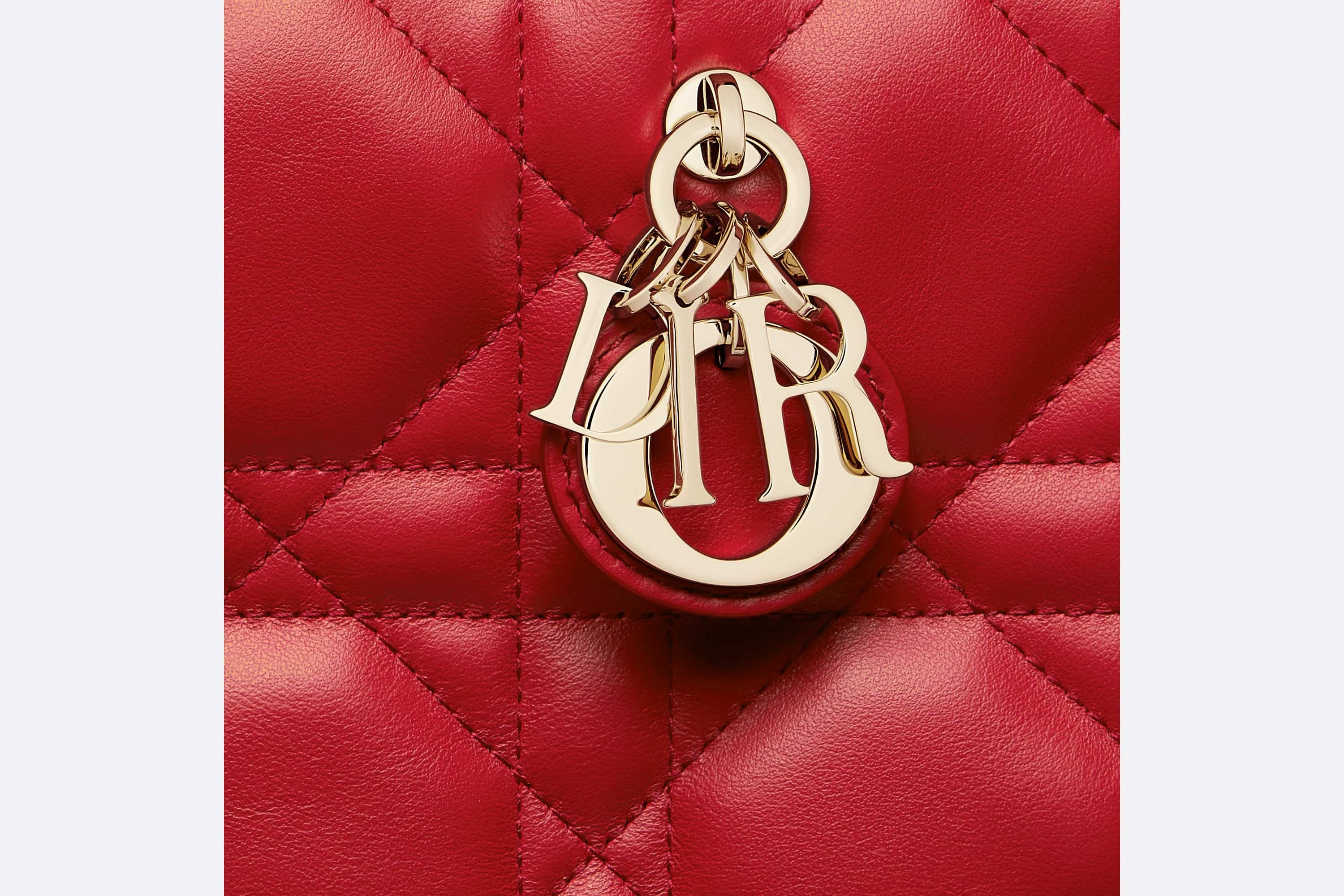 Dioramour Mini Dior Book Tote - 6