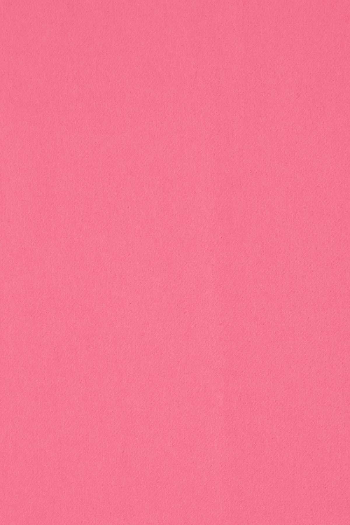 Alexander Mcqueen Women Pink Cashmere Blend Scarf - 3