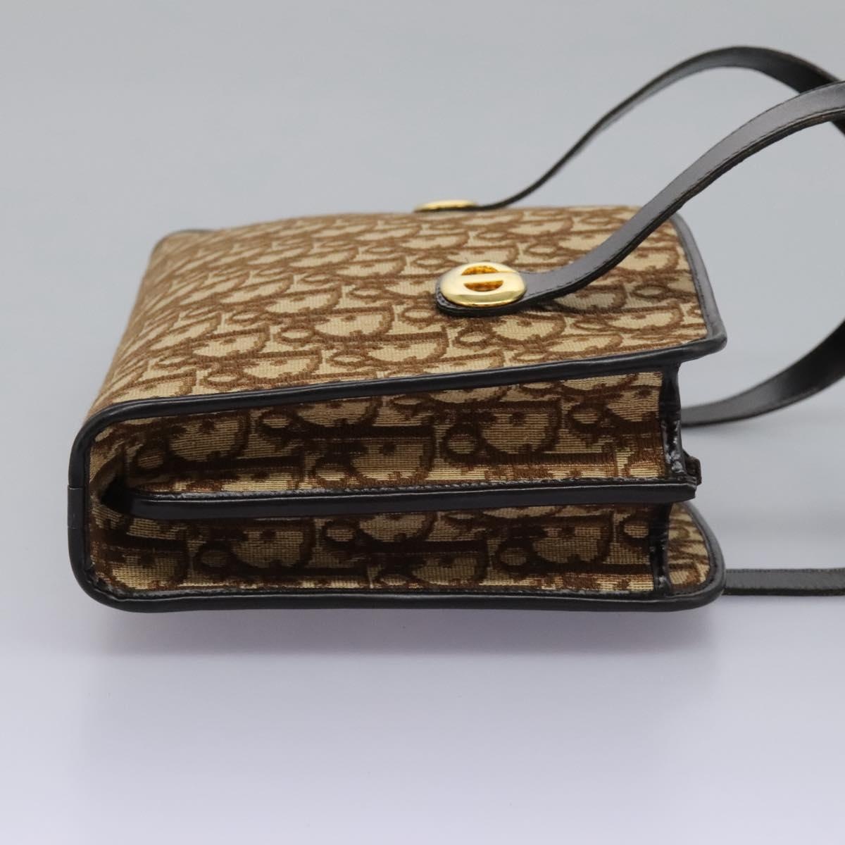 DIOR Trotter Canvas Hand Bag Brown - 5