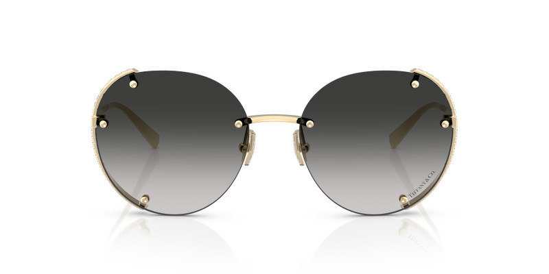 Tiffany & Co. TF3110KB outlook