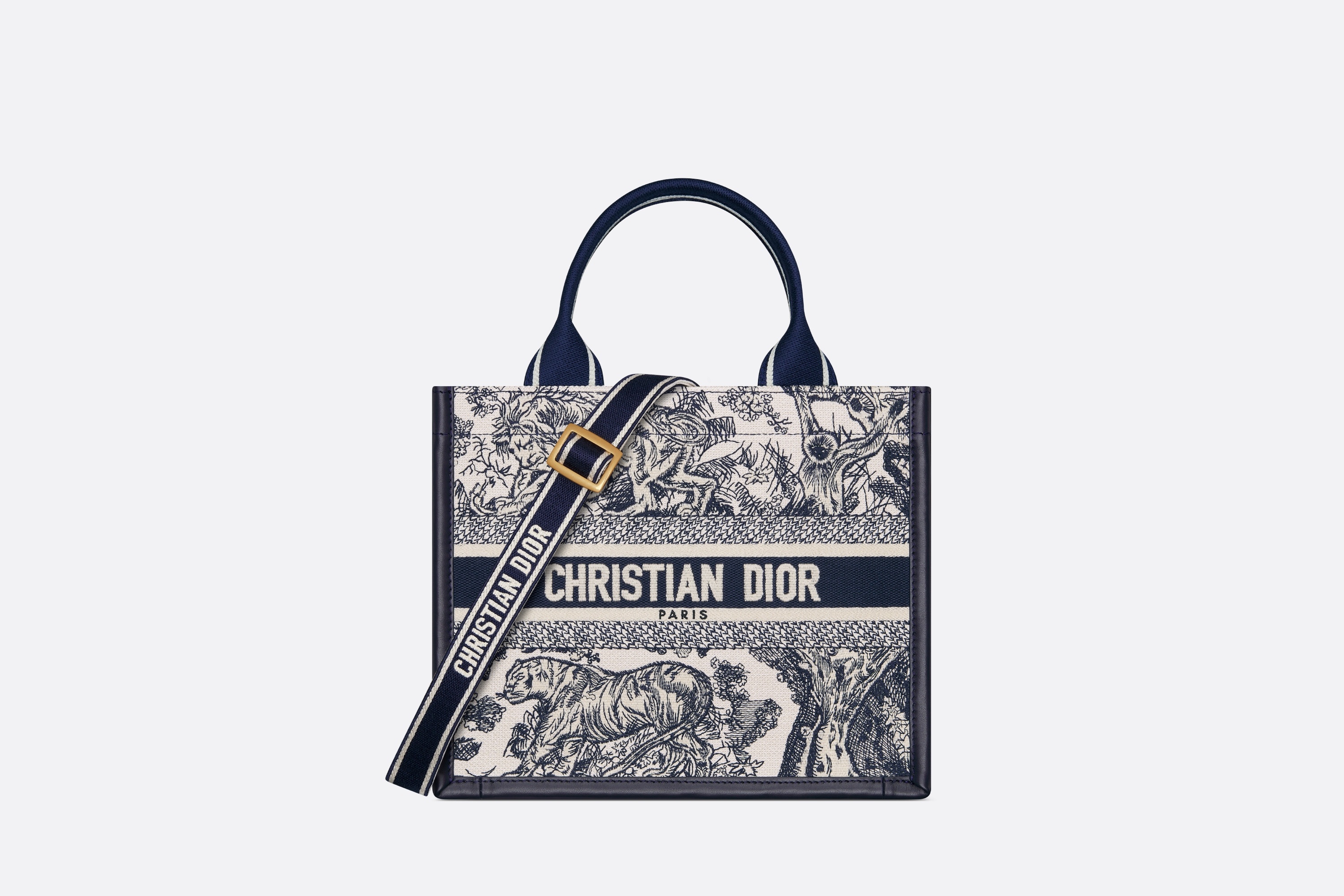 Small Dior Book Tote - 1