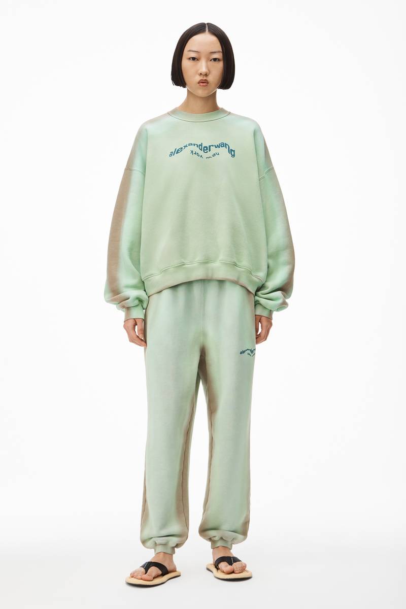 Alexander Wang FU DOG GRAPHIC PULLOVER IN TERRY outlook