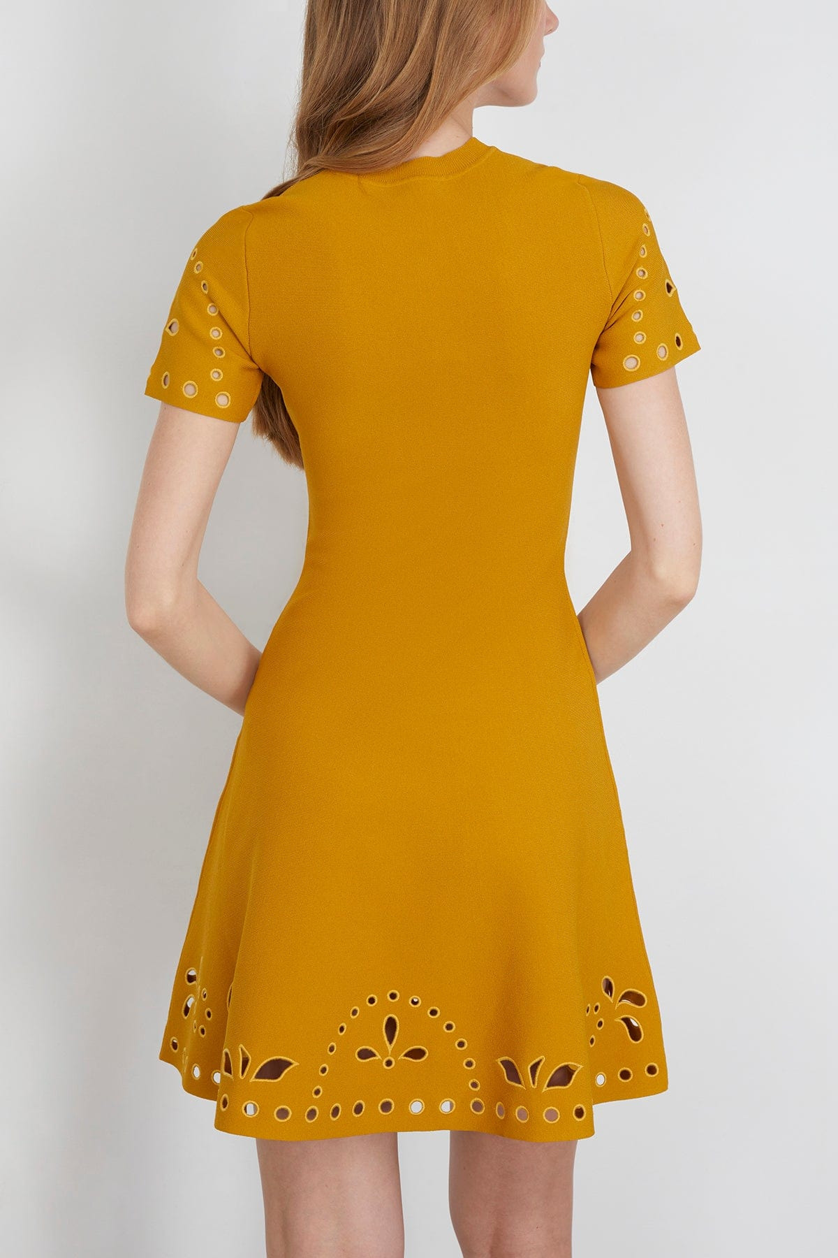 Fania Short Sleeve Knit Mini Dress in Goldenrod - 4