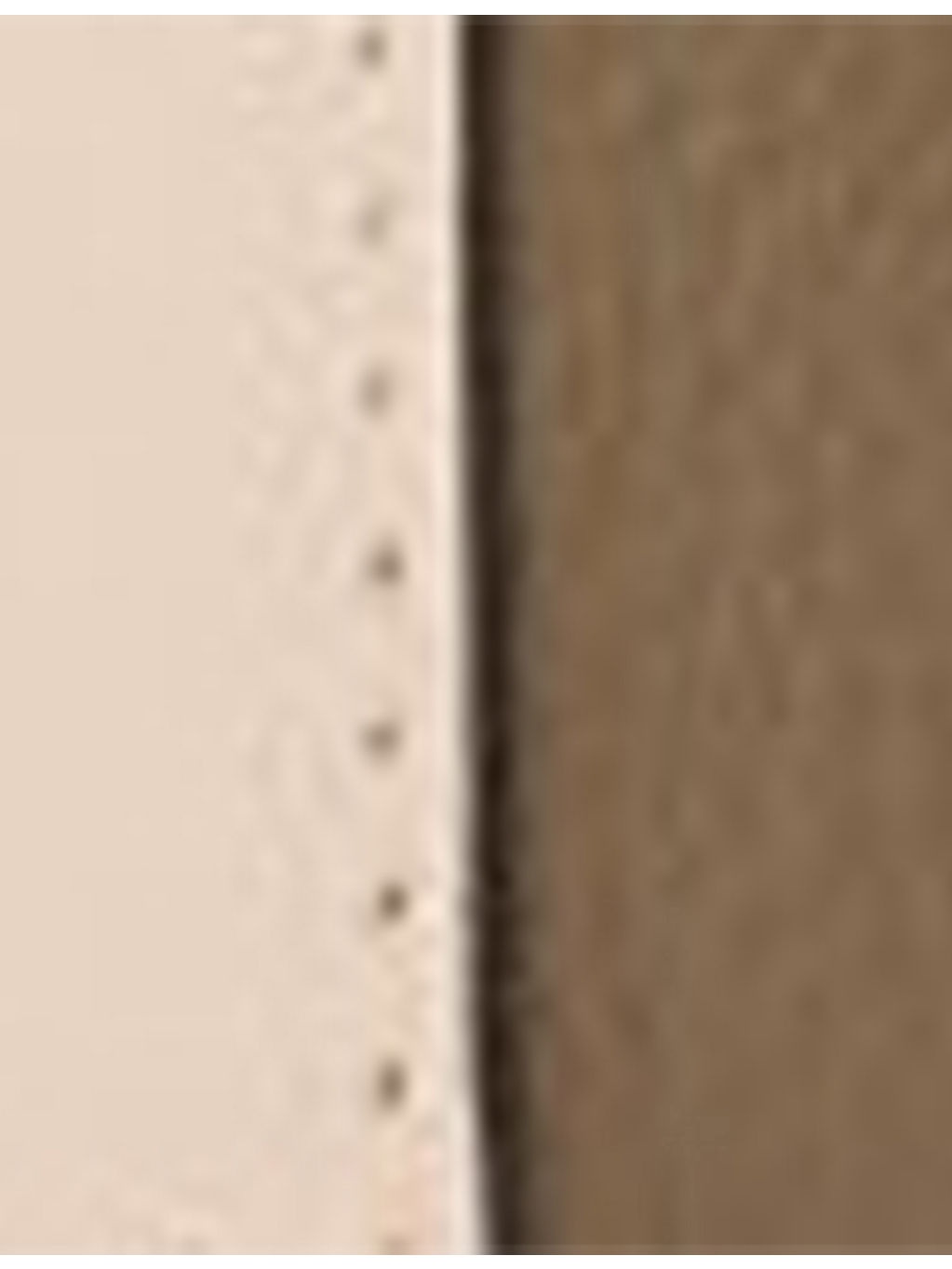SGC Coin Leather Card Holdeer - 5